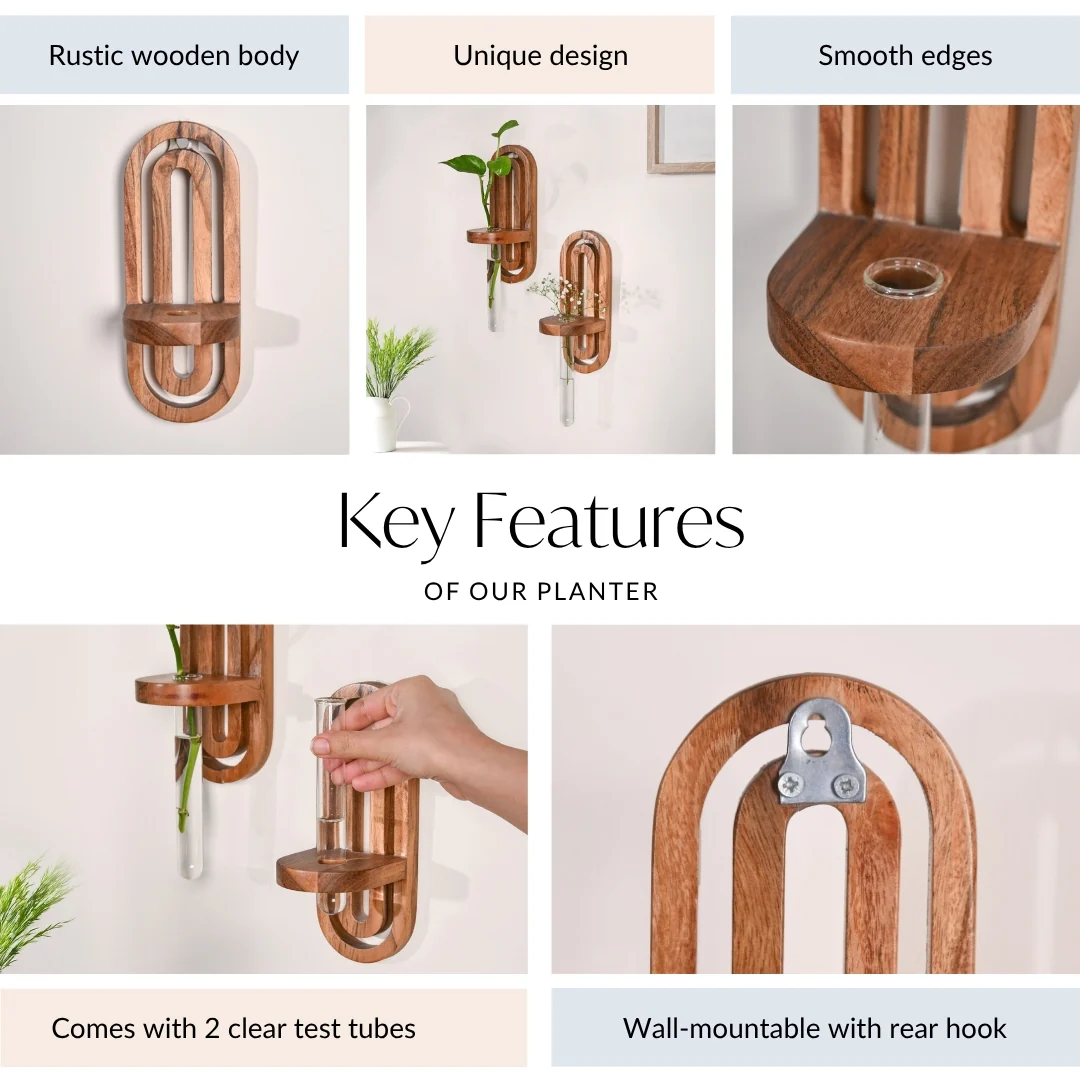 Acacia Wall Hanging Test Tube Planter Duo - Image 4