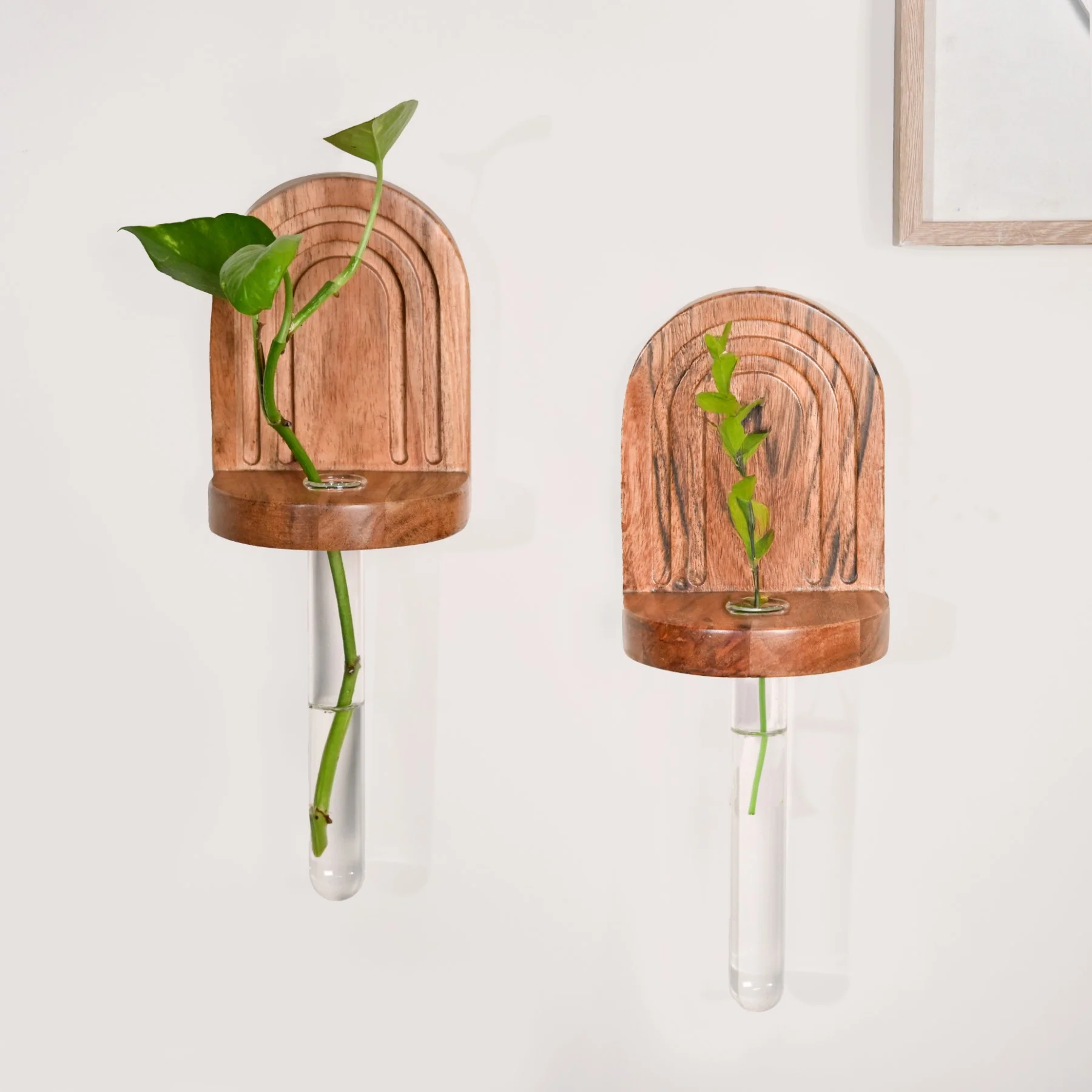 Acacia Wall Mounted Test Tube Planter Set Of 2 - Image 11