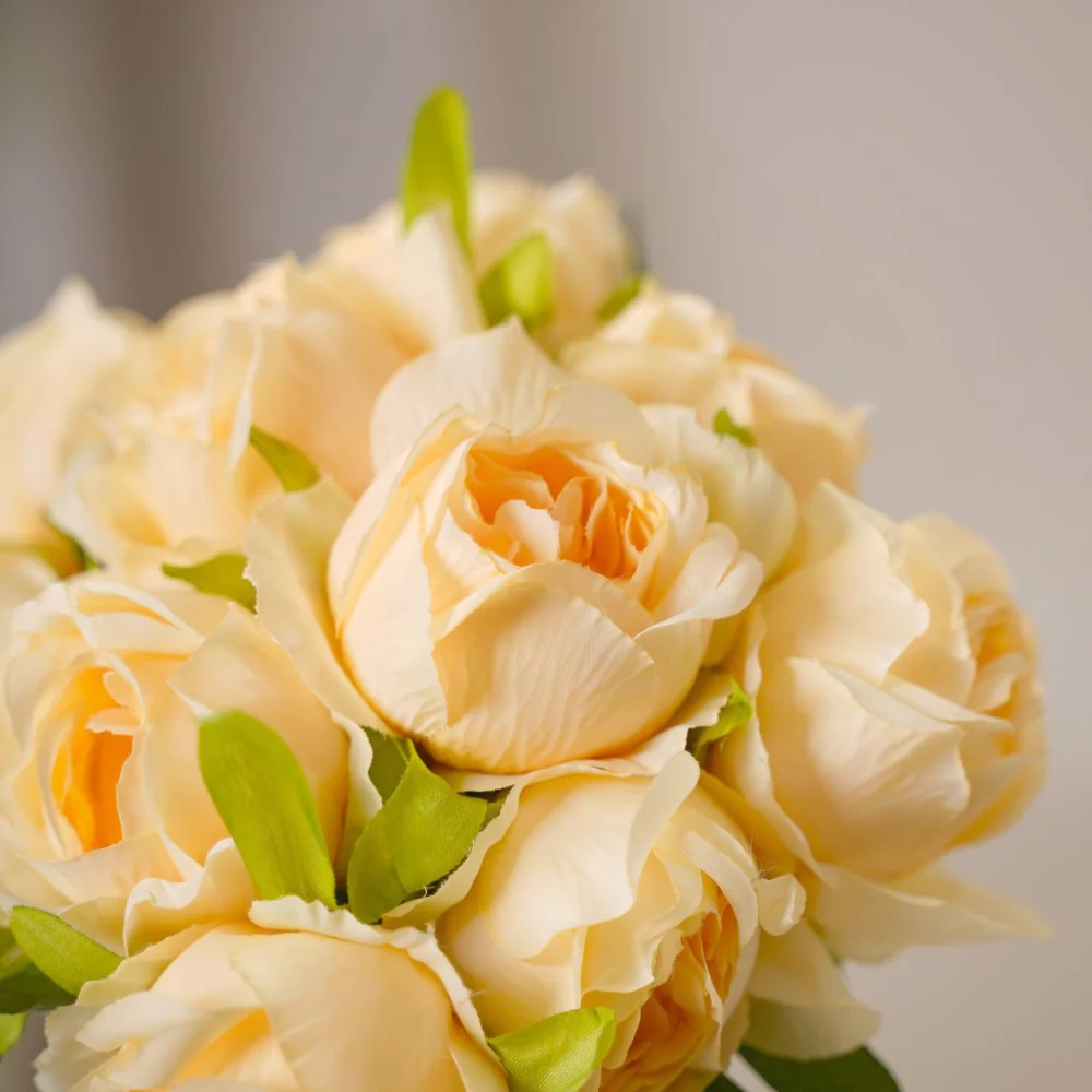 Aesthetic Roses - Image 20