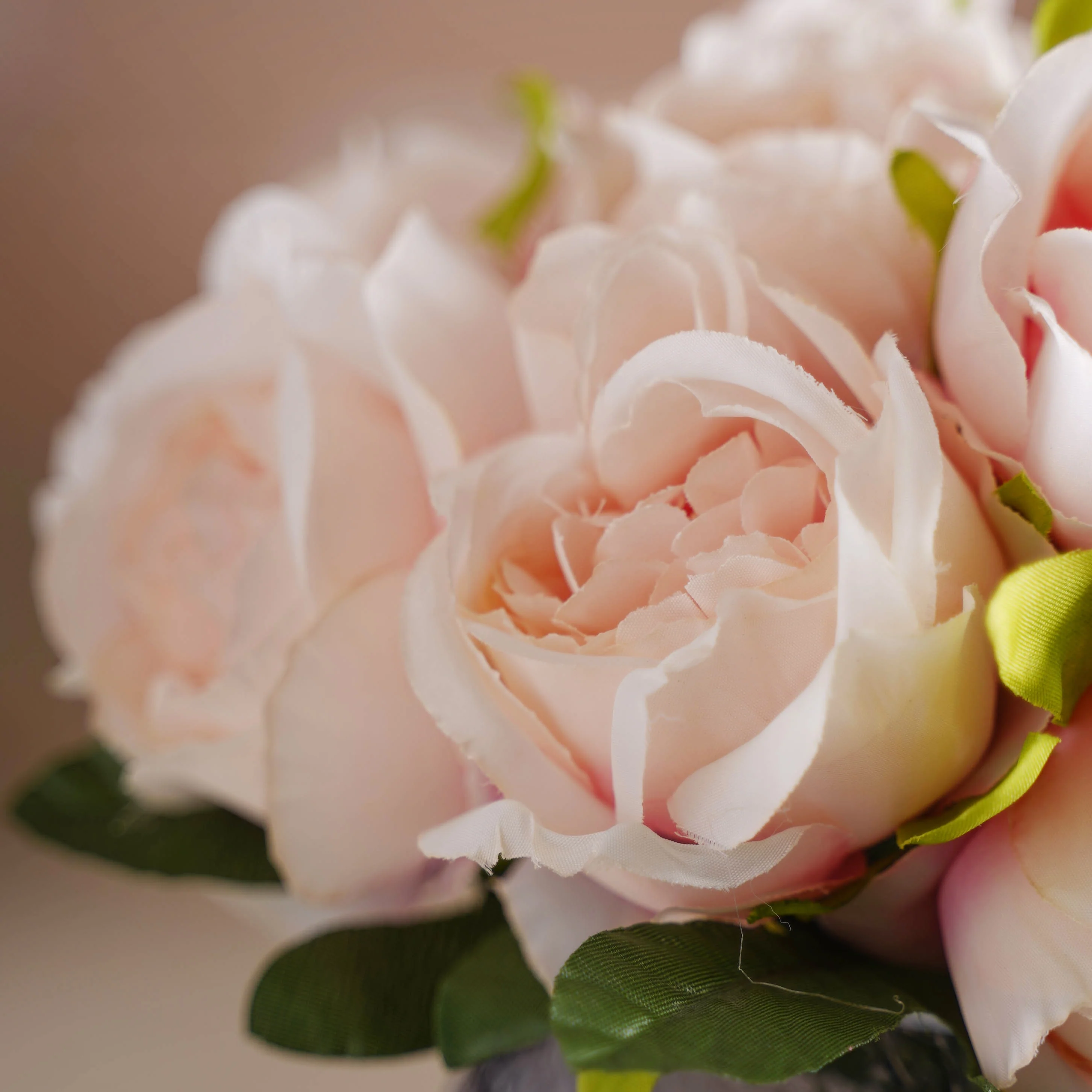 Aesthetic Roses - Image 6