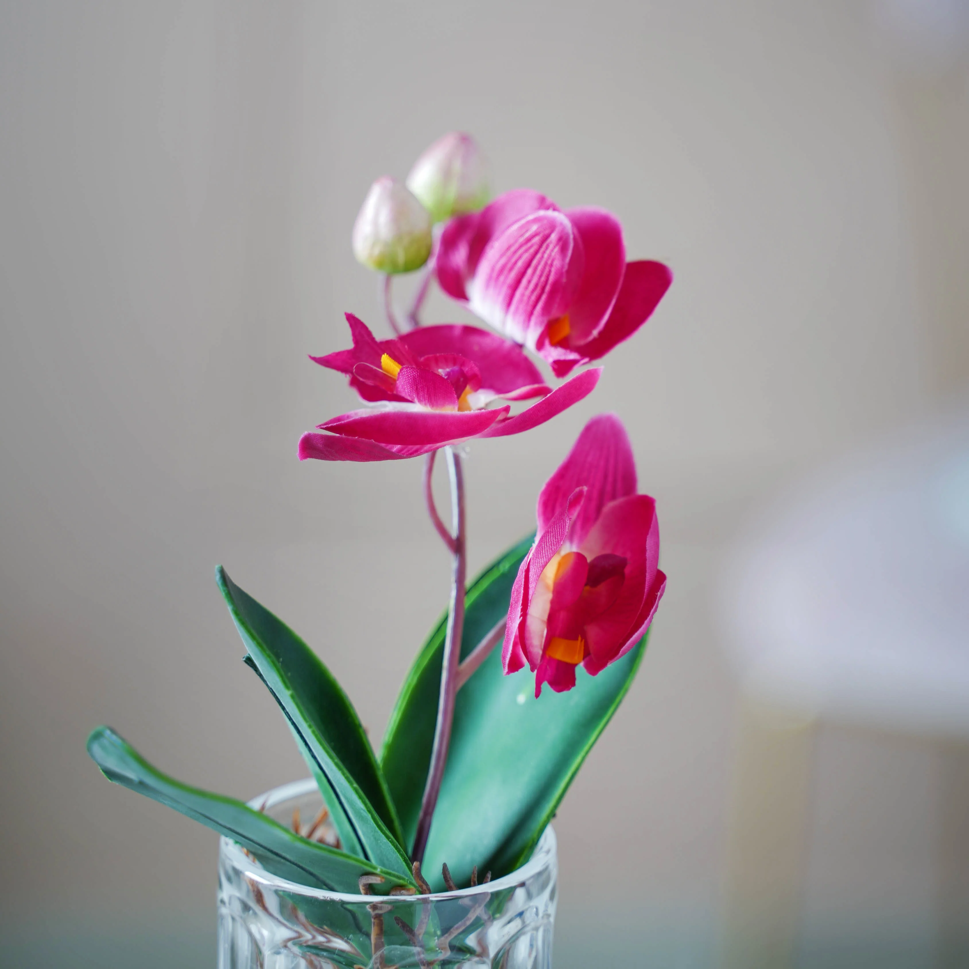 Artificial Orchid Stem - Image 5
