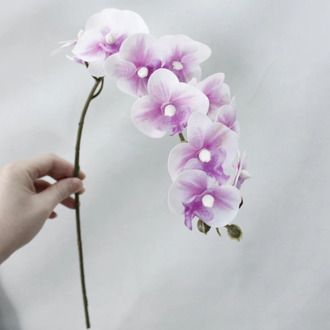 Artificial Orchids - Image 2