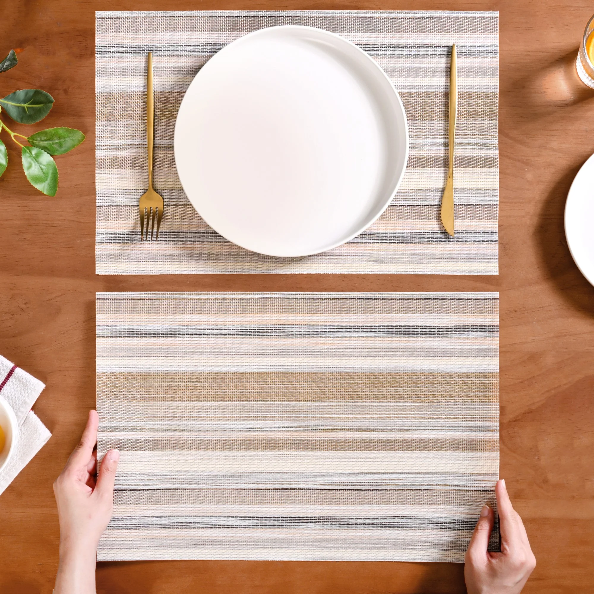 Beige and Brown Placemats Set Of 6 - Image 3