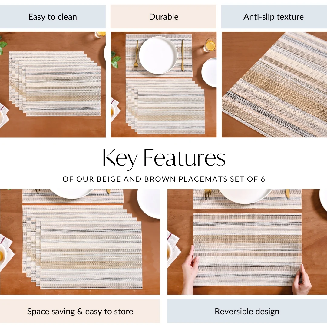 Beige and Brown Placemats Set Of 6 - Image 5