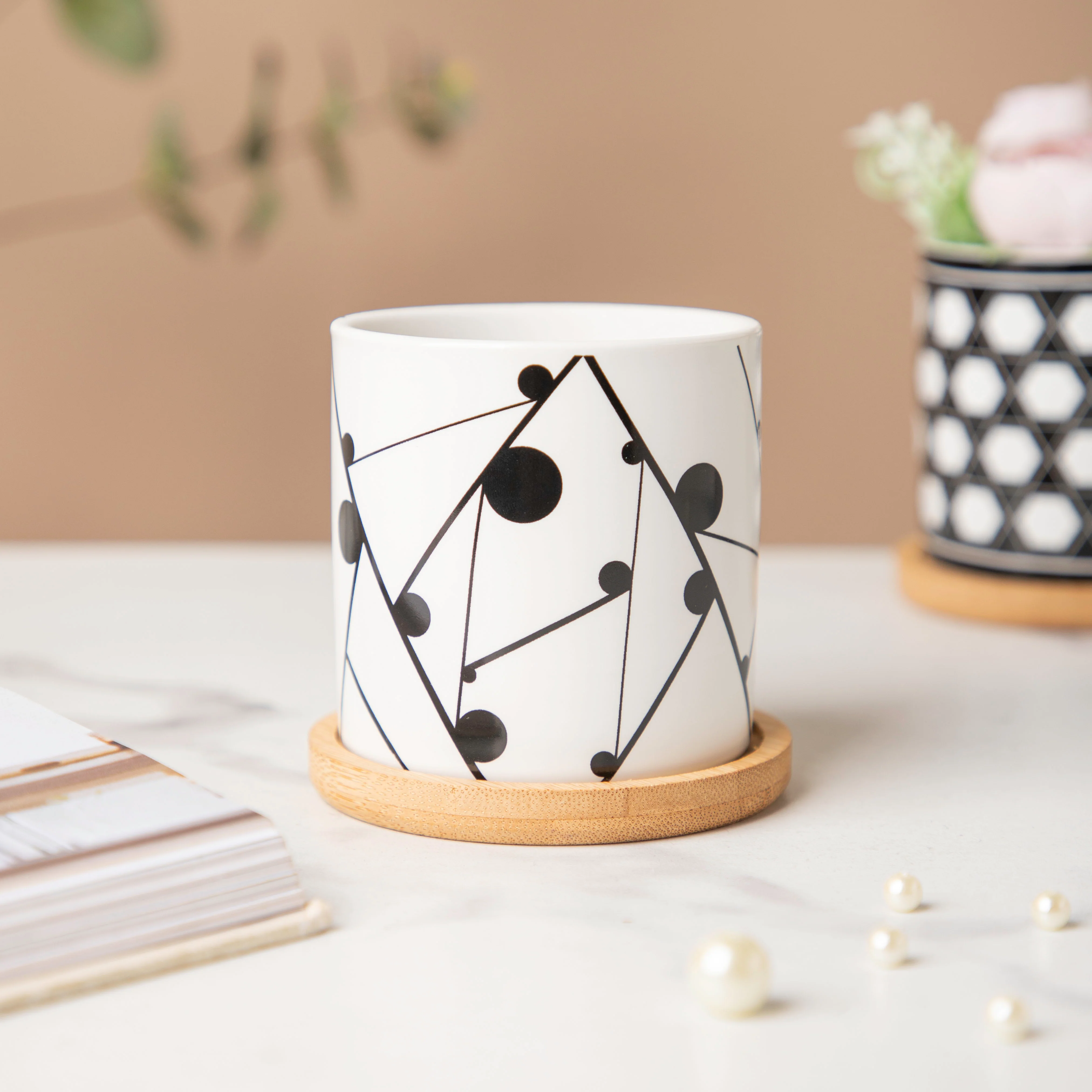Black & White Medley Ceramic Planter With Coaster Set Of 8 - Image 5