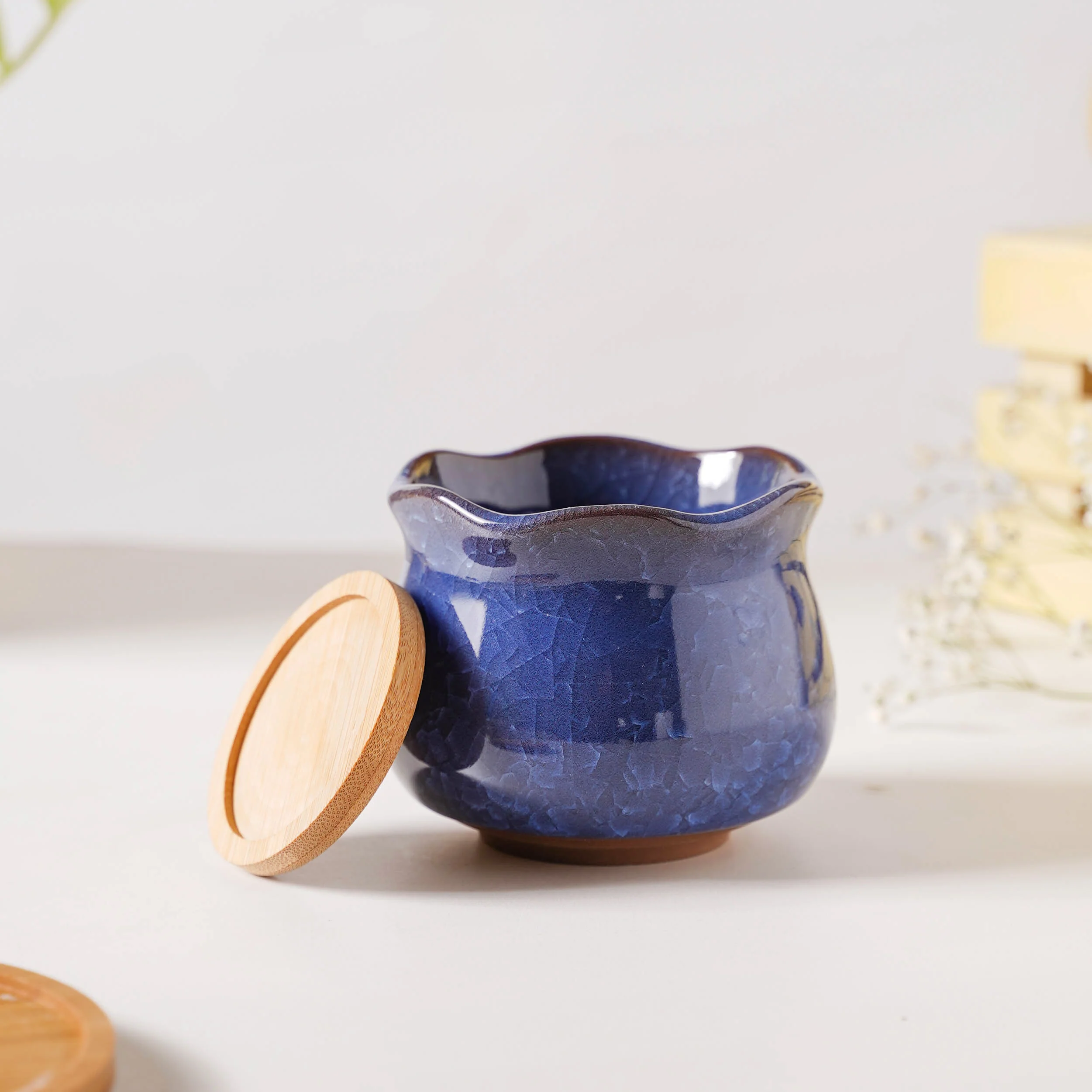 Botanica Azure Ceramic Planter With Coaster - Image 4
