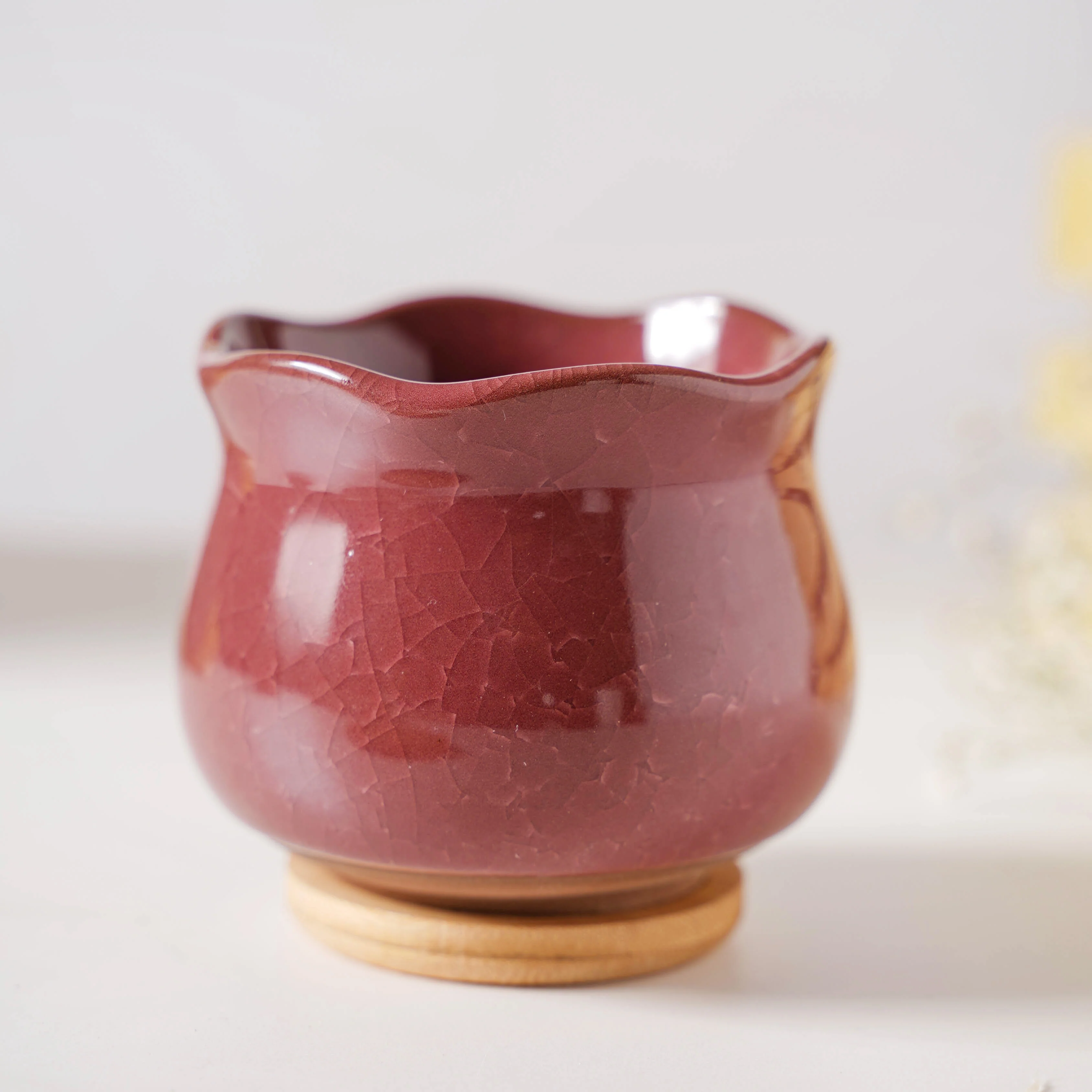 Botanica Brown Ceramic Planter With Coaster - Image 5
