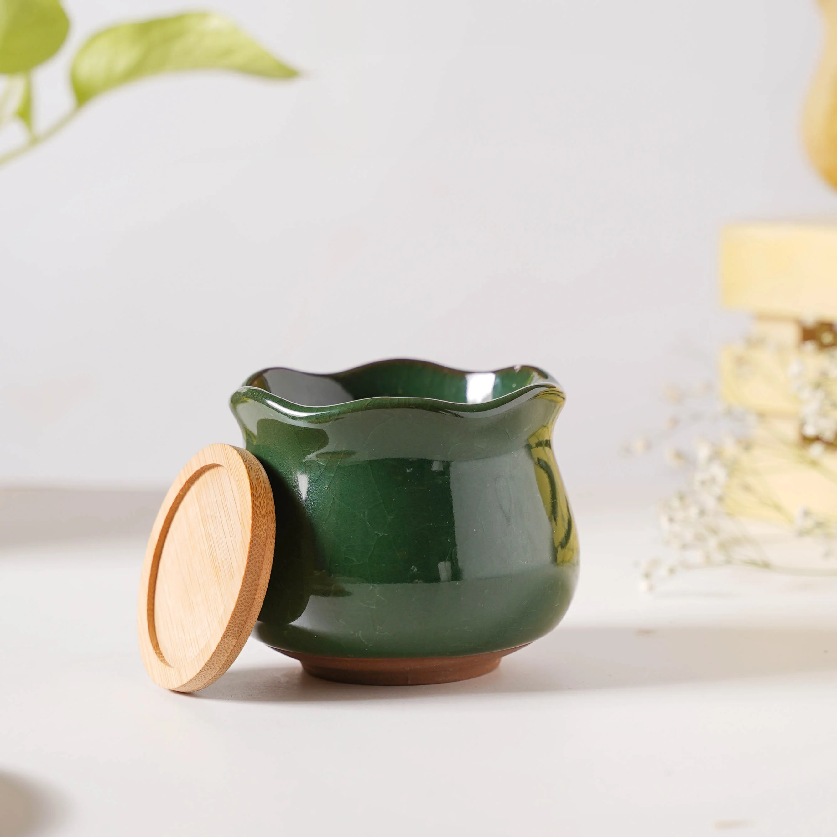 Botanica Emerald Ceramic Planter With Coaster - Image 3
