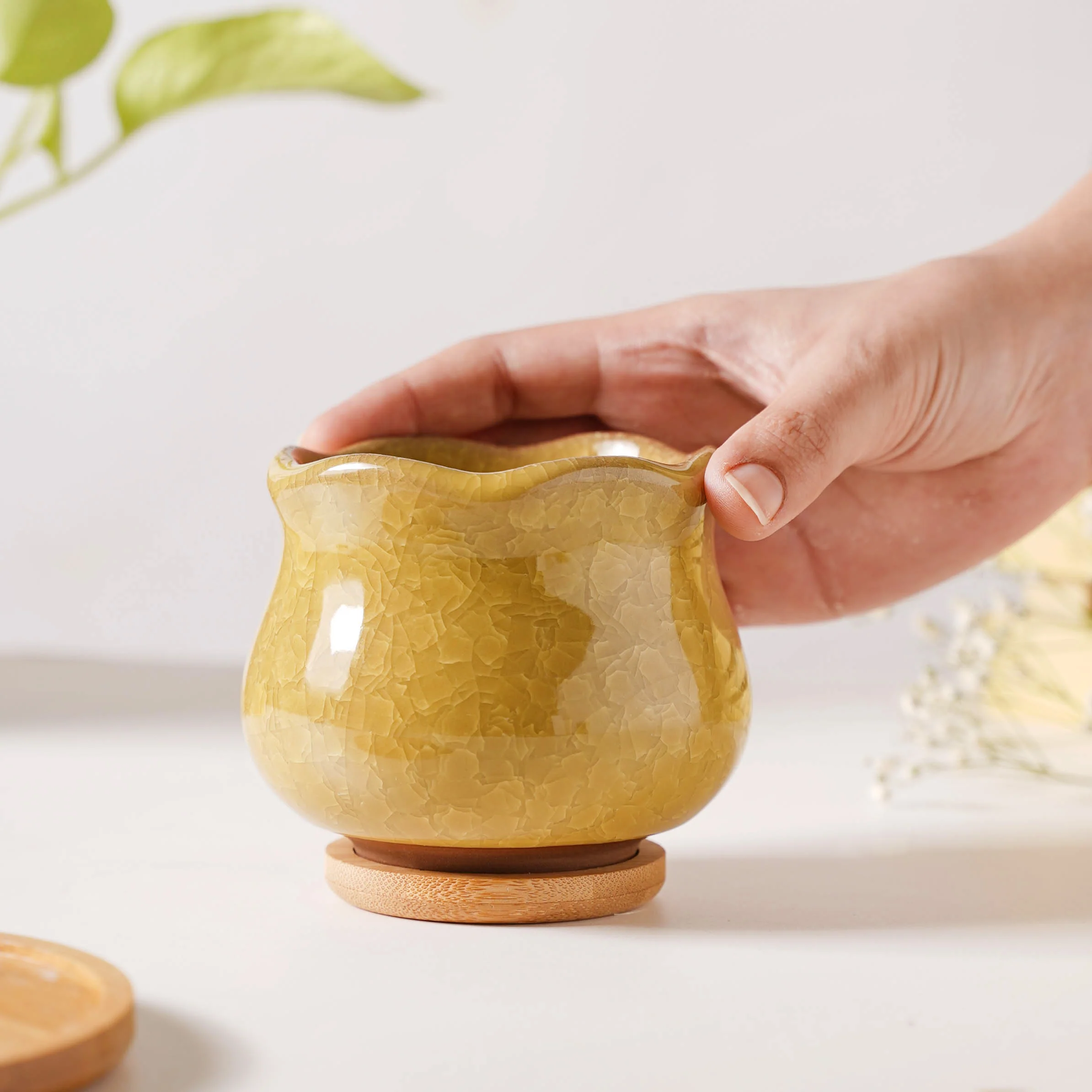 Botanica Ochre Ceramic Planter With Coaster - Image 2