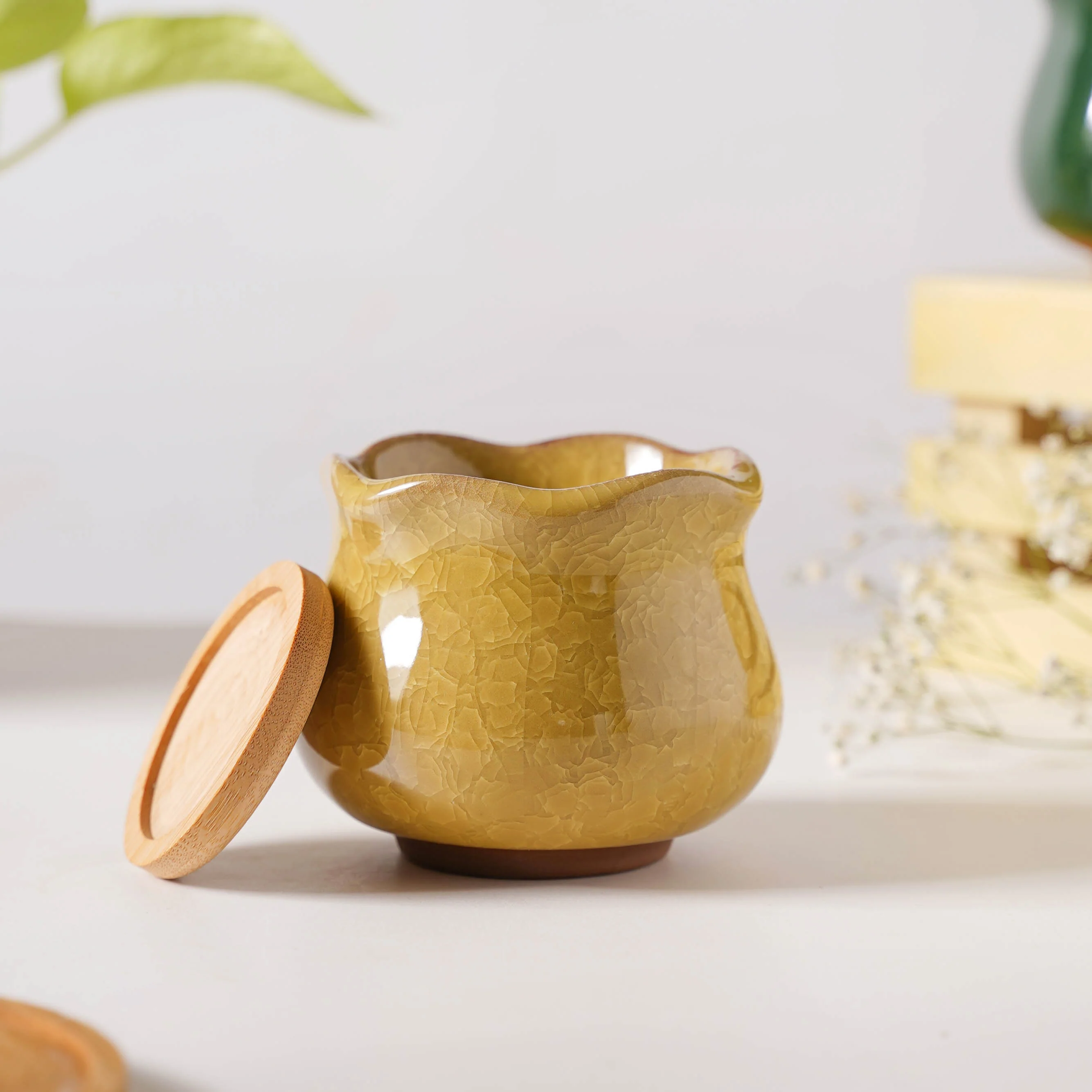 Botanica Ochre Ceramic Planter With Coaster - Image 4