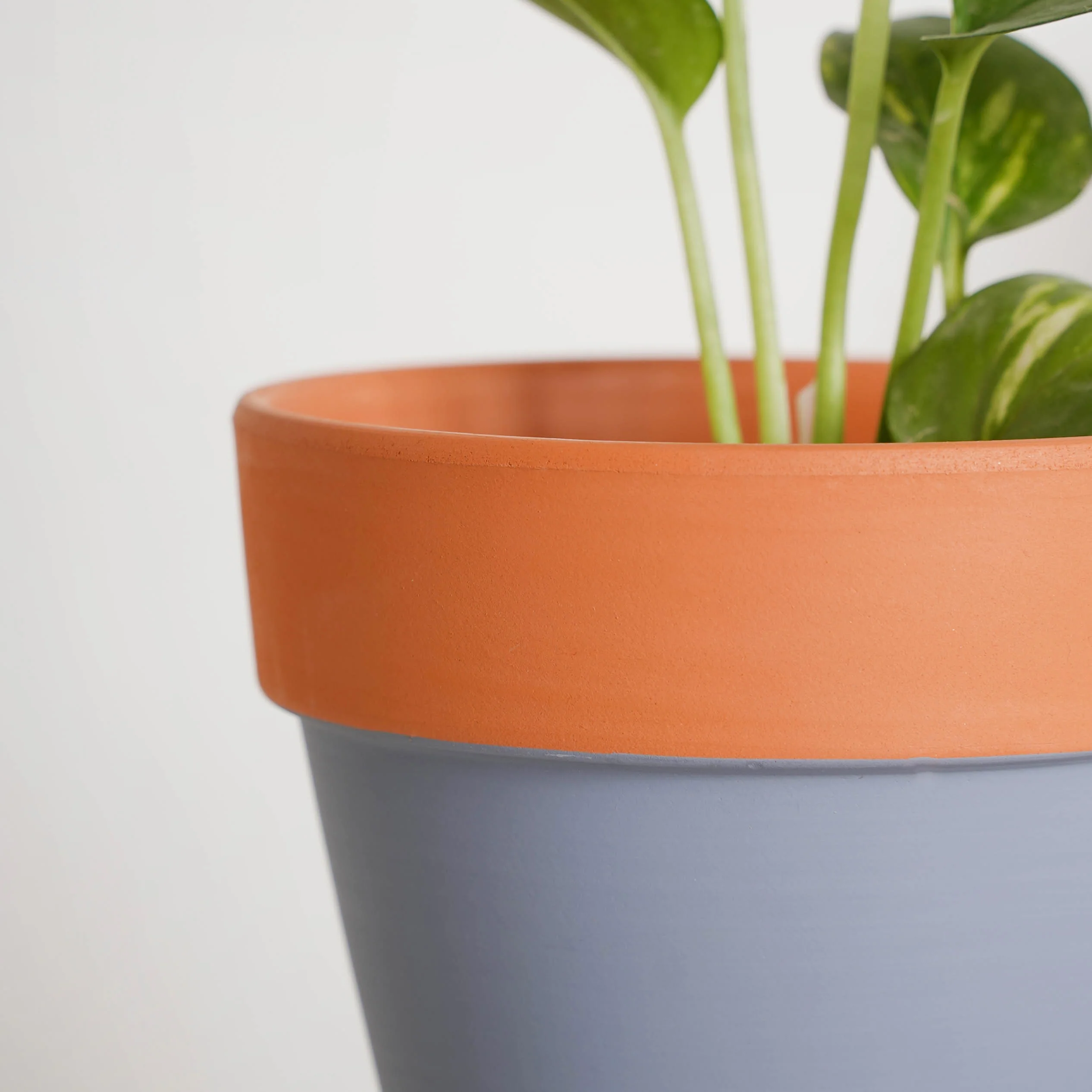 Brown Rim Grey Clay Pot Set Of 2 - Image 5