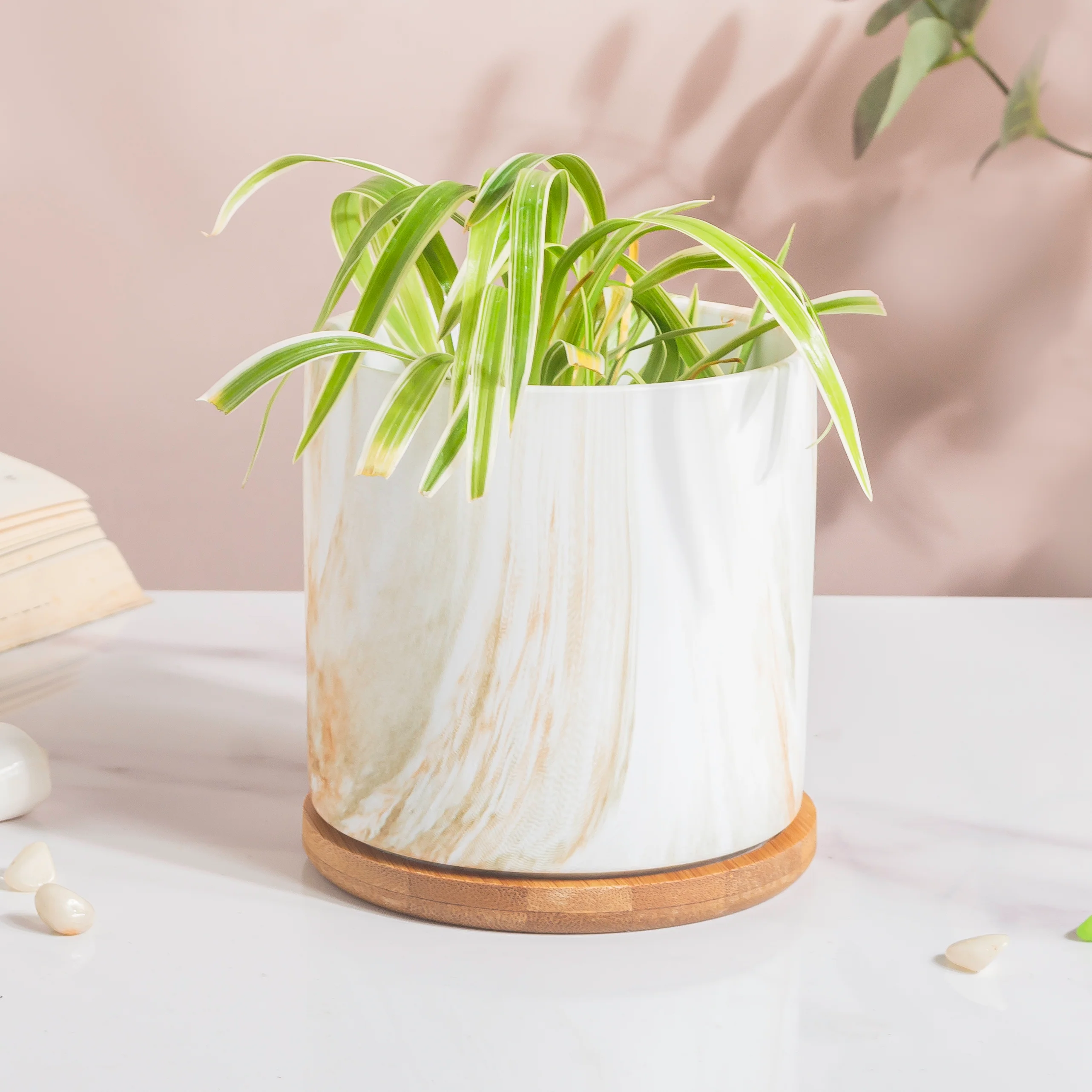 Carrara Brown Splash White Planter With Wooden Coaster - Image 3