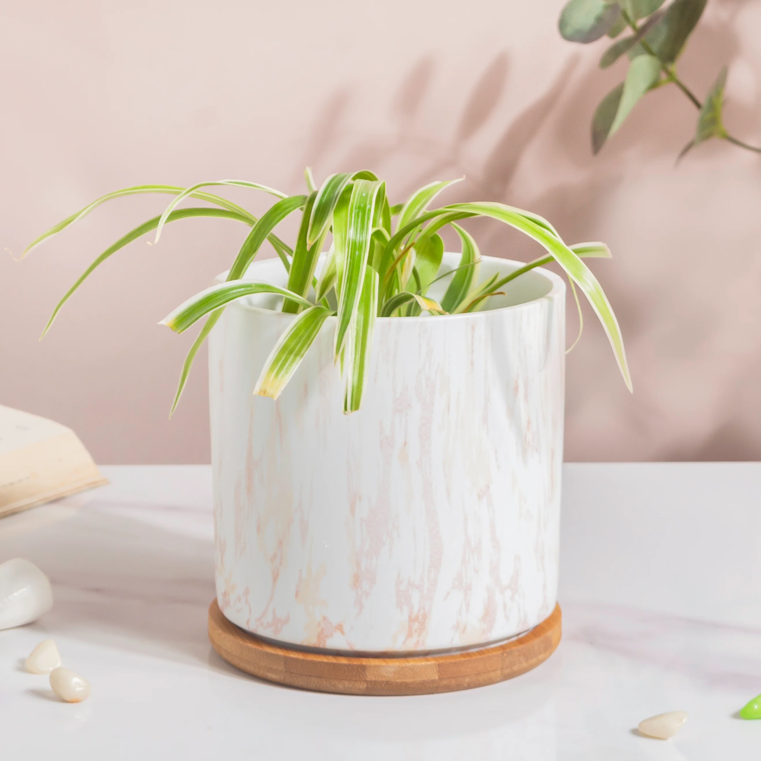 Carrara White And Brown Ceramic Planter With Wooden Coaster - Image 3