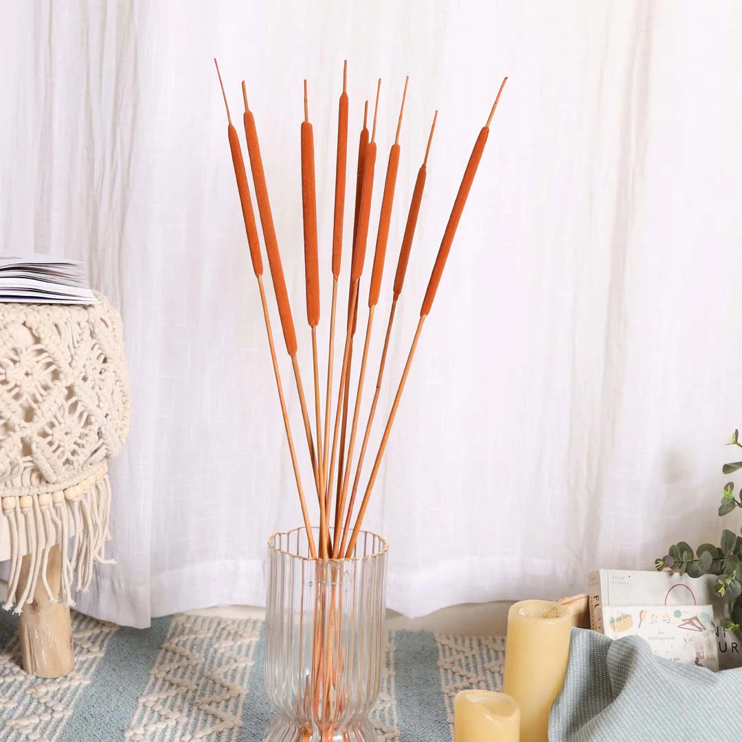 Cattail For Vase - Image 2