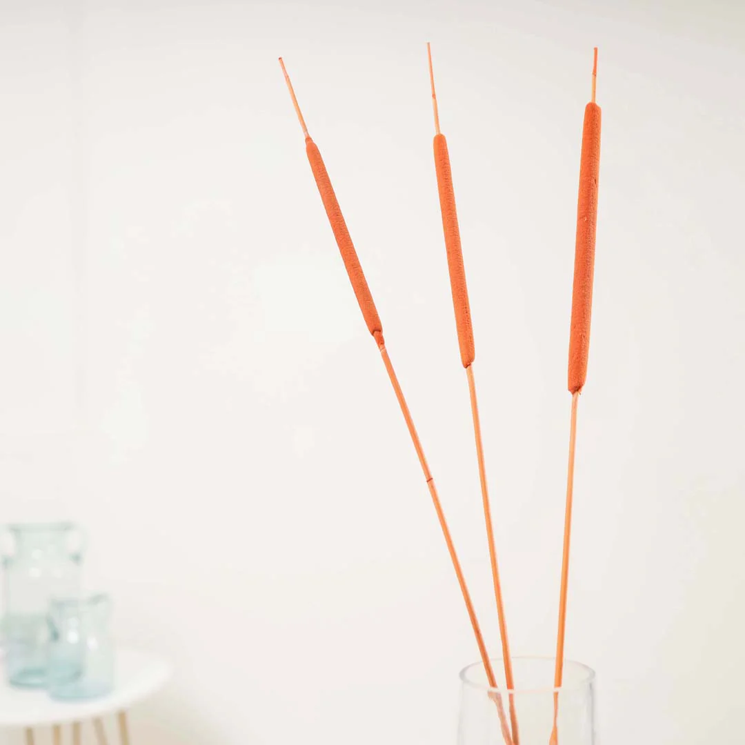 Cattail For Vase - Image 5