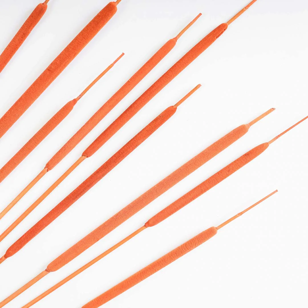 Cattail For Vase - Image 6