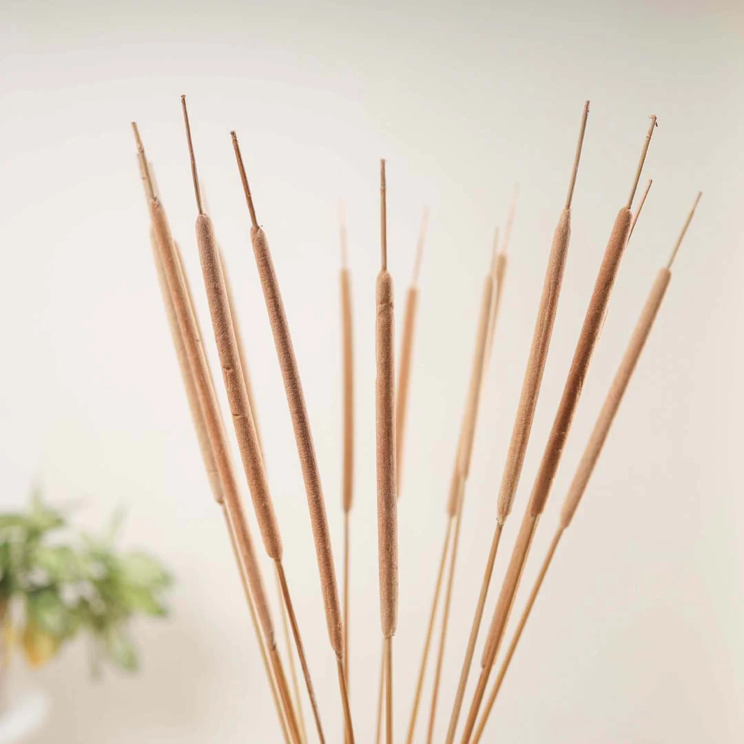 Cattail Stem For Decor - Image 3