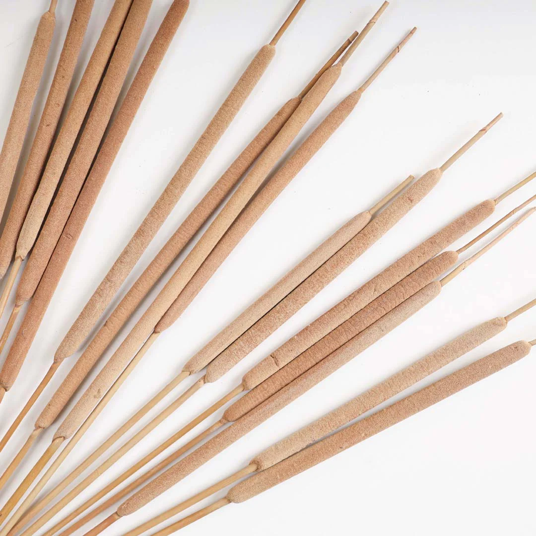 Cattail Stem For Decor - Image 6
