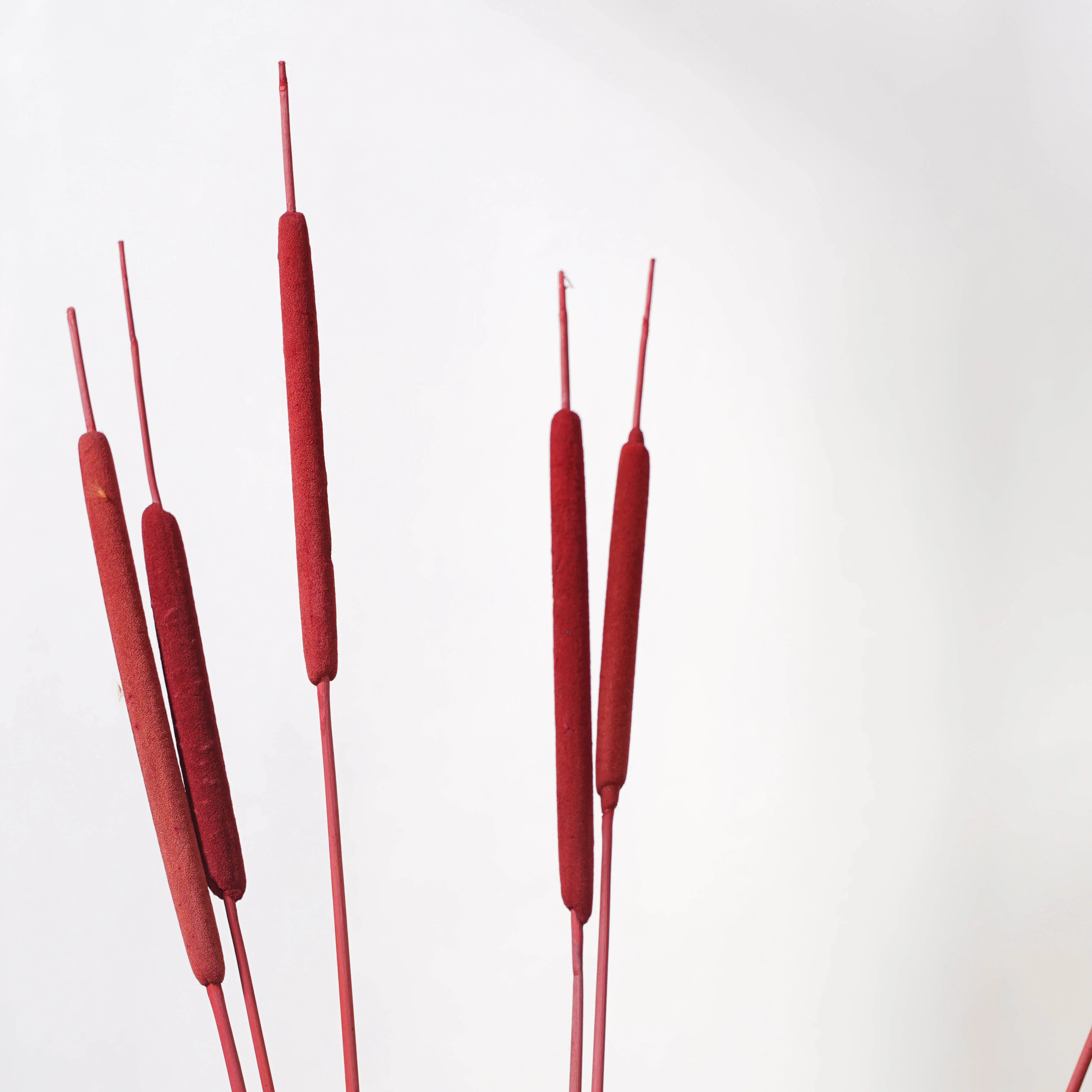Cattail Stem Red - Image 3
