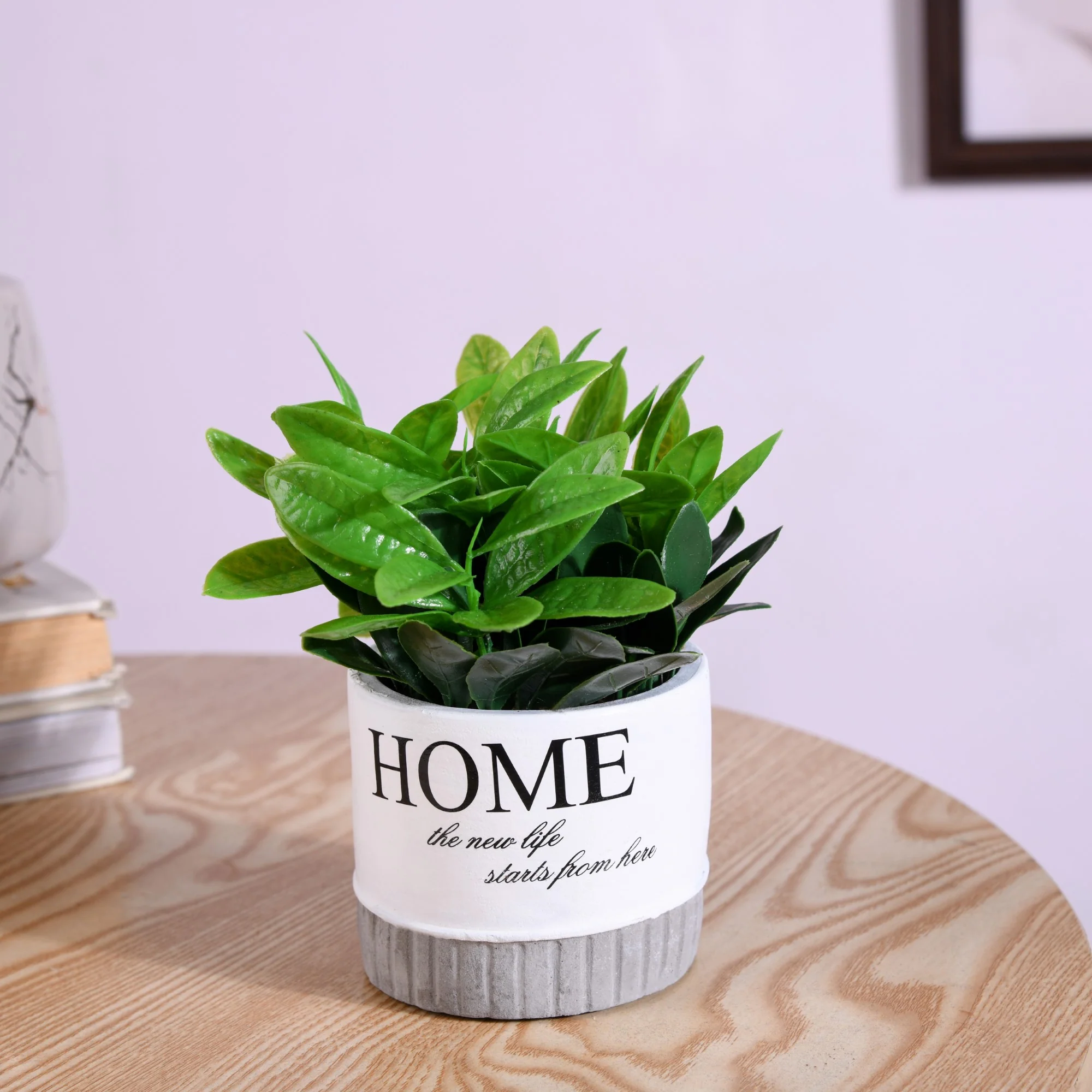 Circular Plant Pot - Image 4