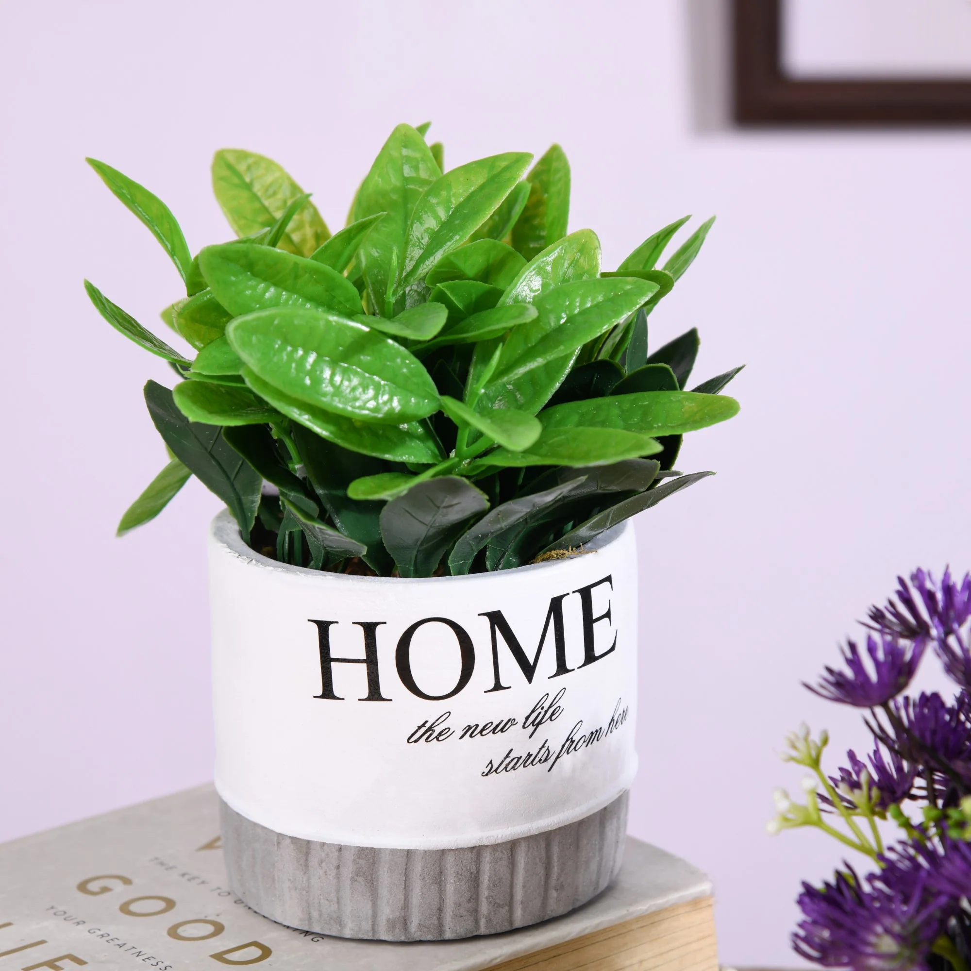 Circular Plant Pot - Image 6