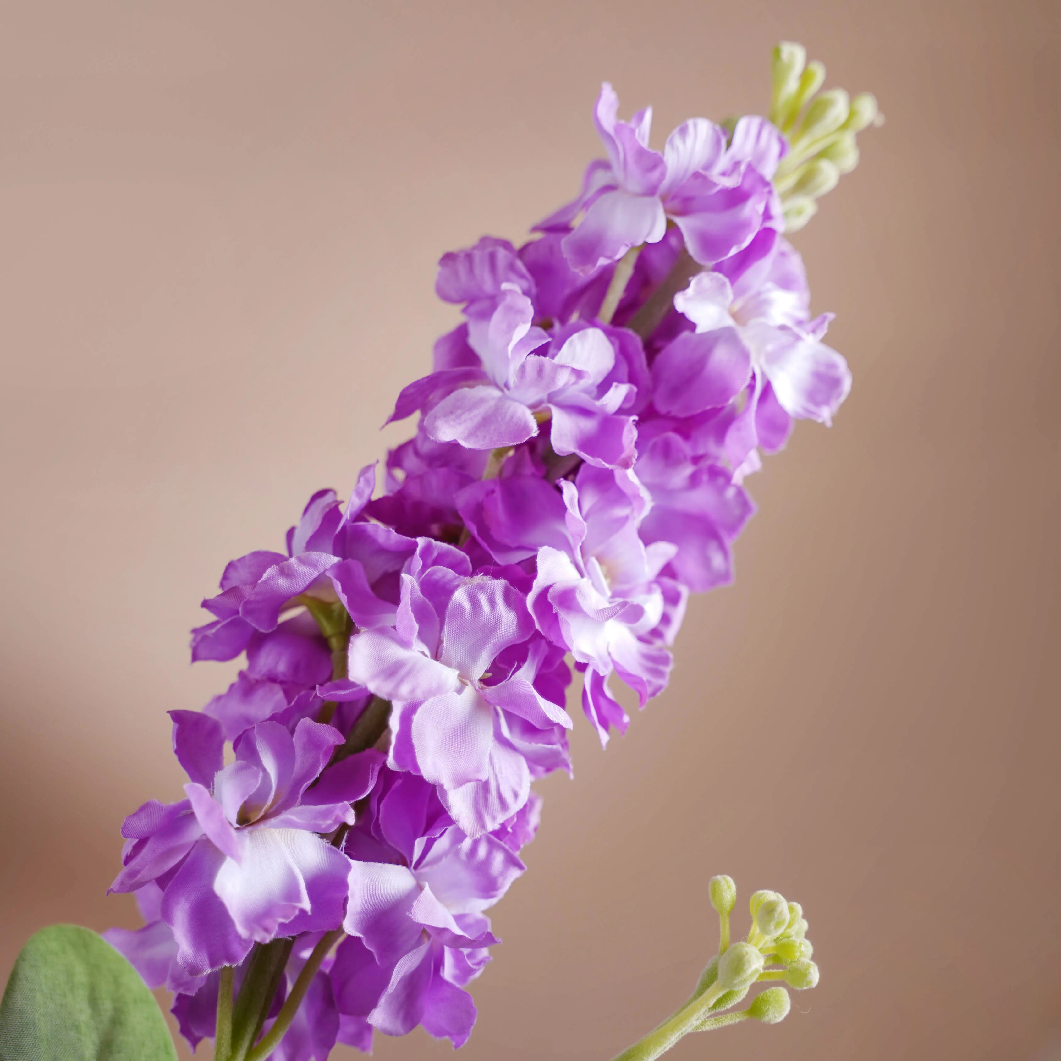 Colorful Flowers - Image 6