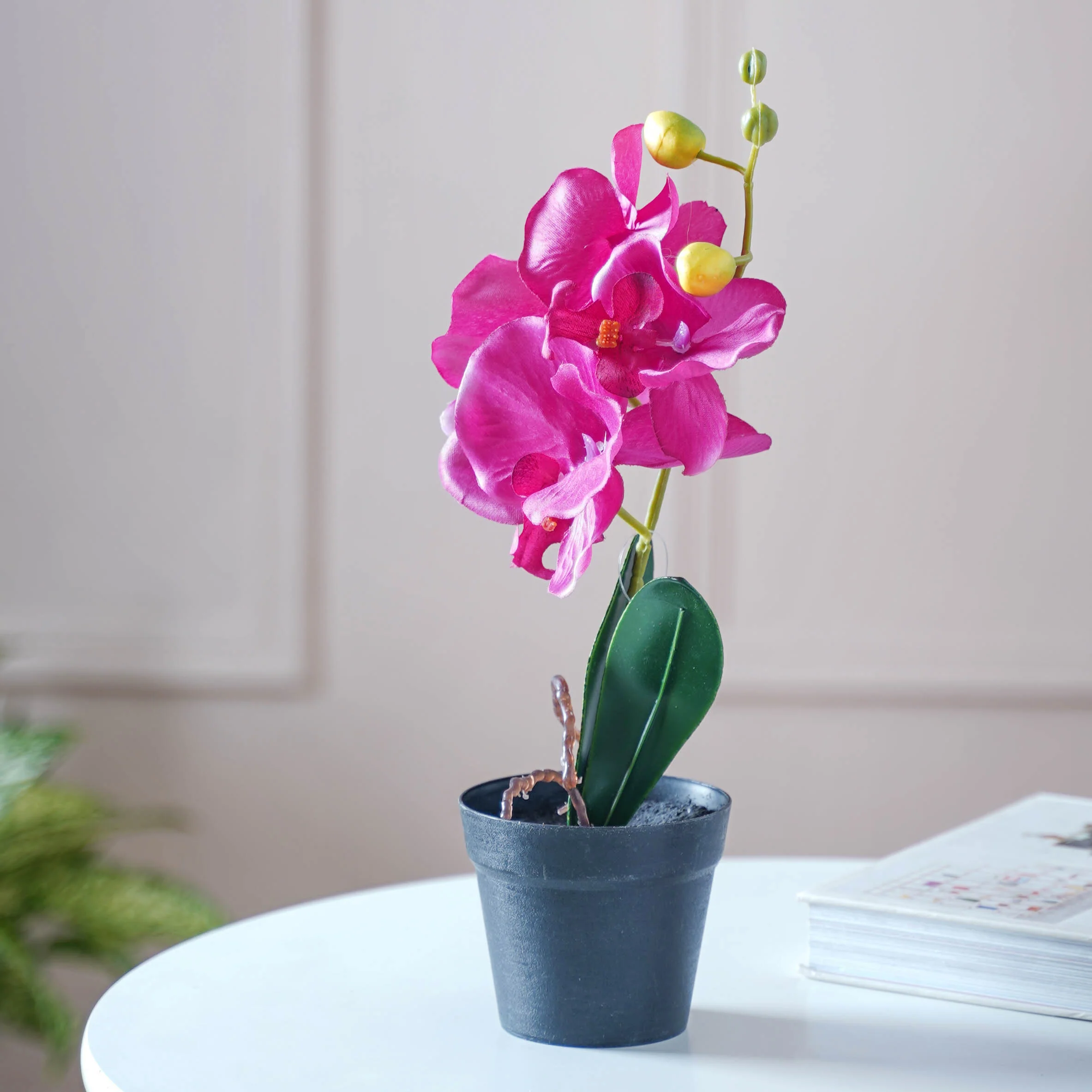 Colorful Orchid Stem - Image 8