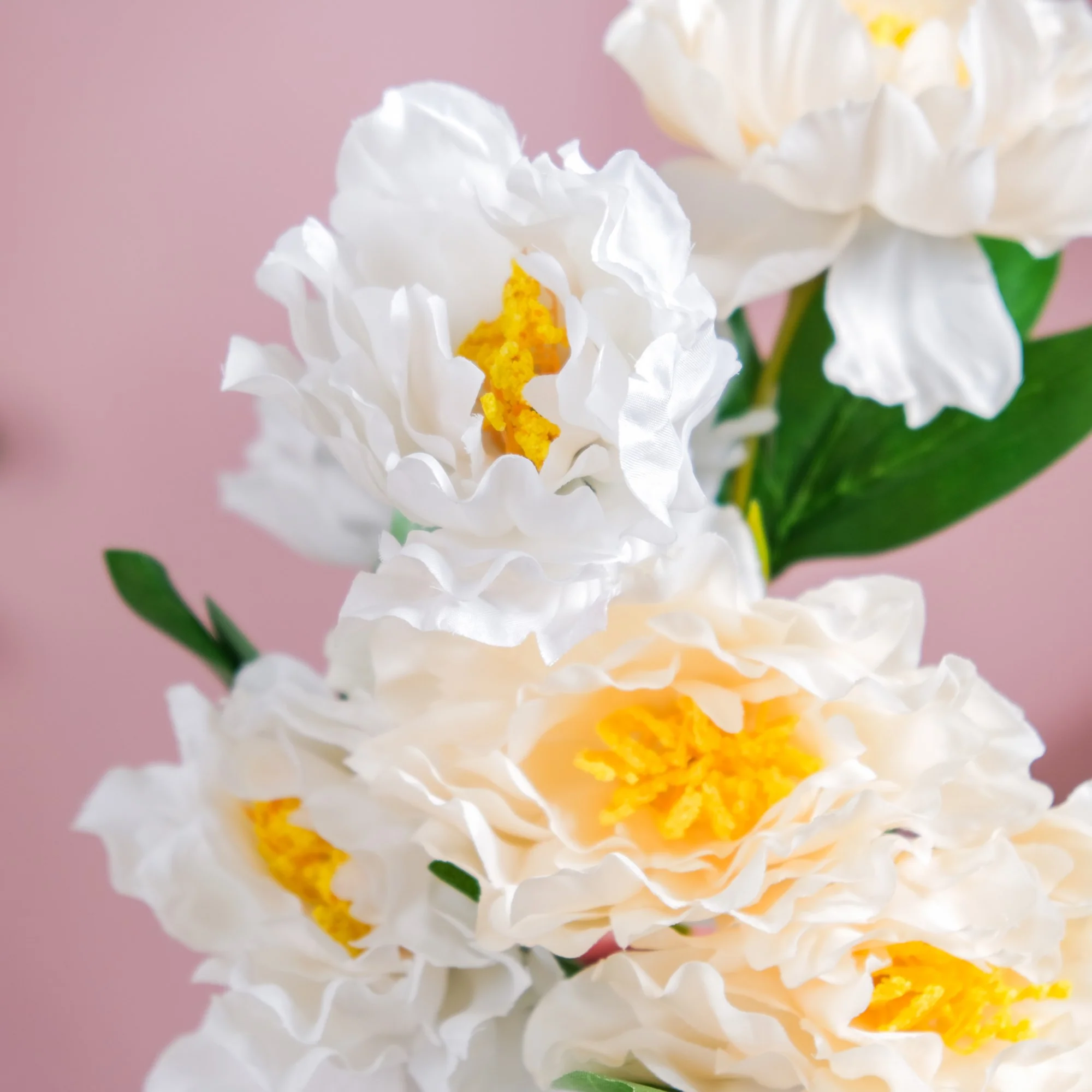 Colorful Peony Stems - Image 4