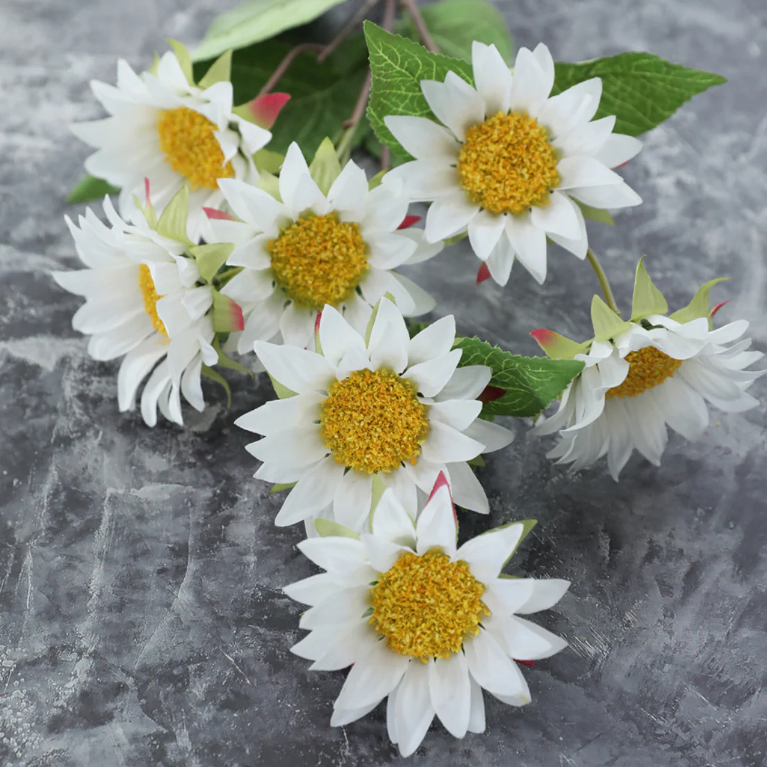 Colourful Sunflower - Image 13