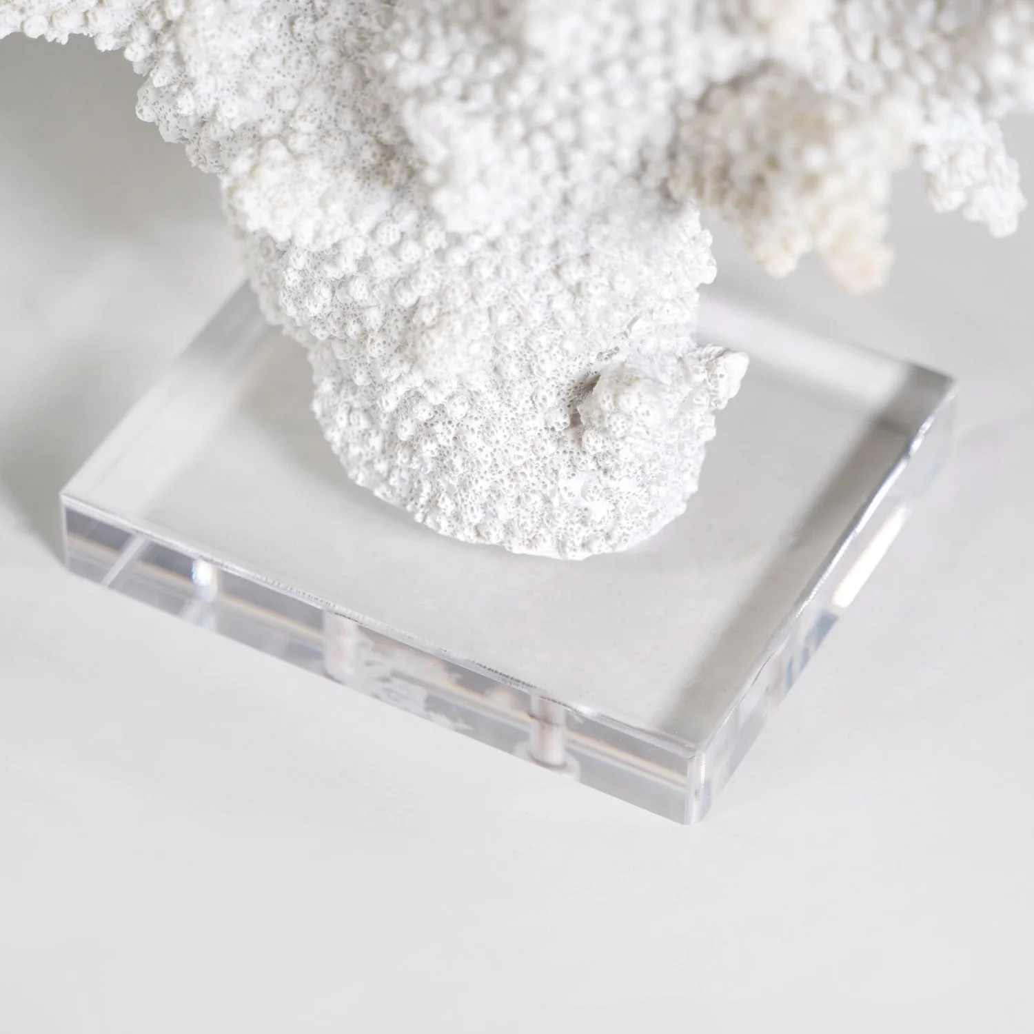 Coral Reef Coffee Table Decor - Image 6