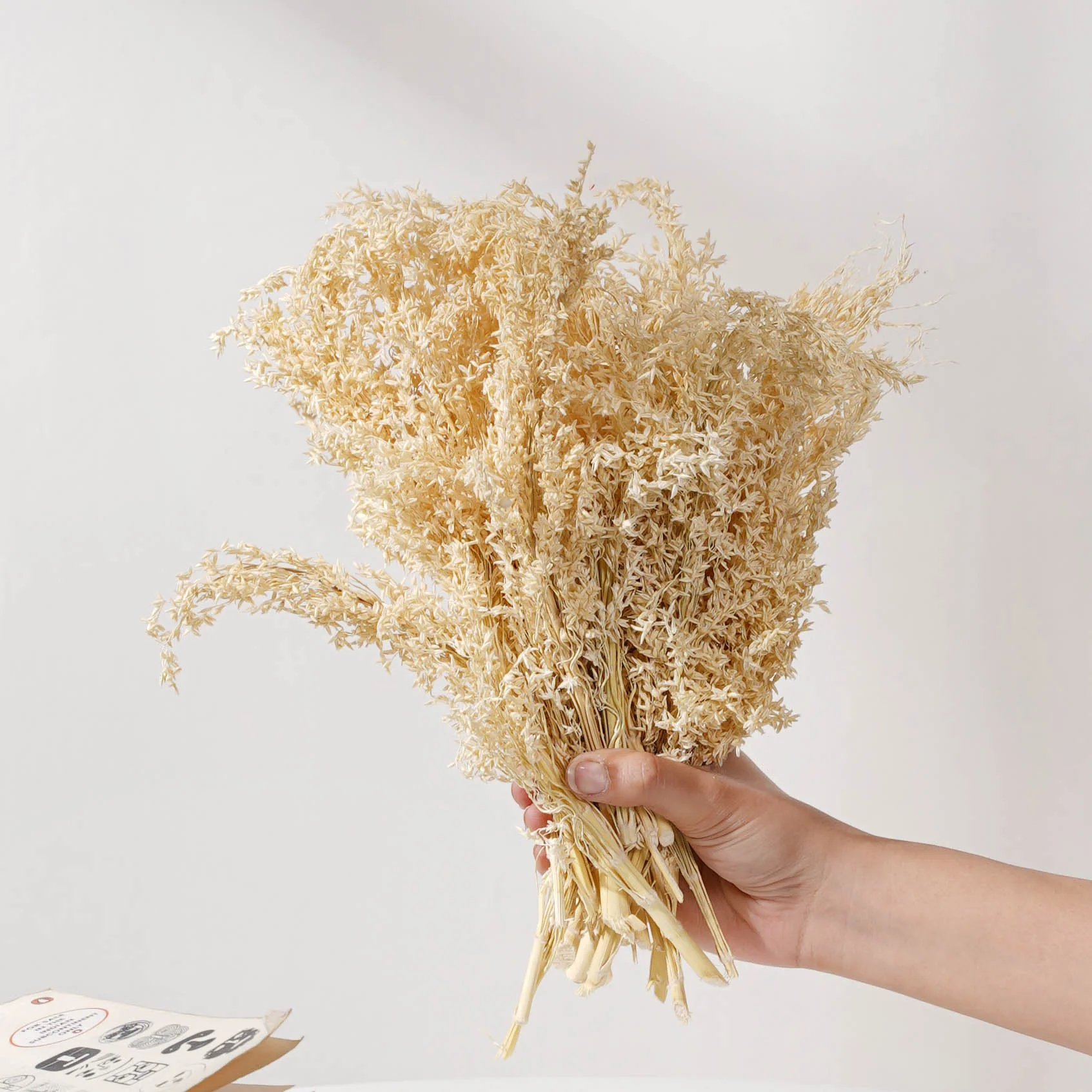 Corn Grass Stem - Image 2
