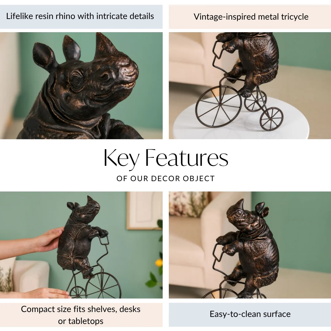 Cycling Rhino Art - Image 5