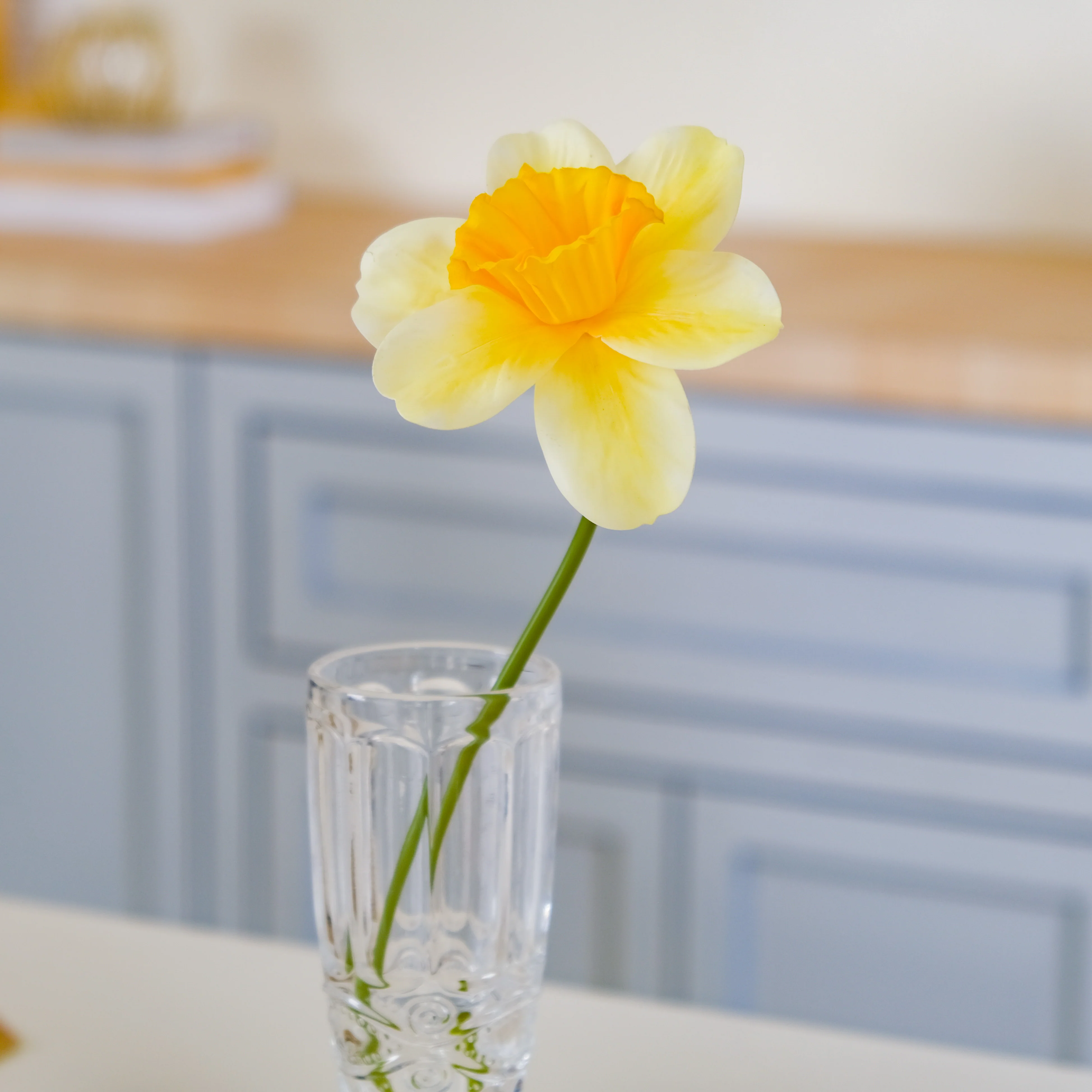 Daffodil Flower - Image 11