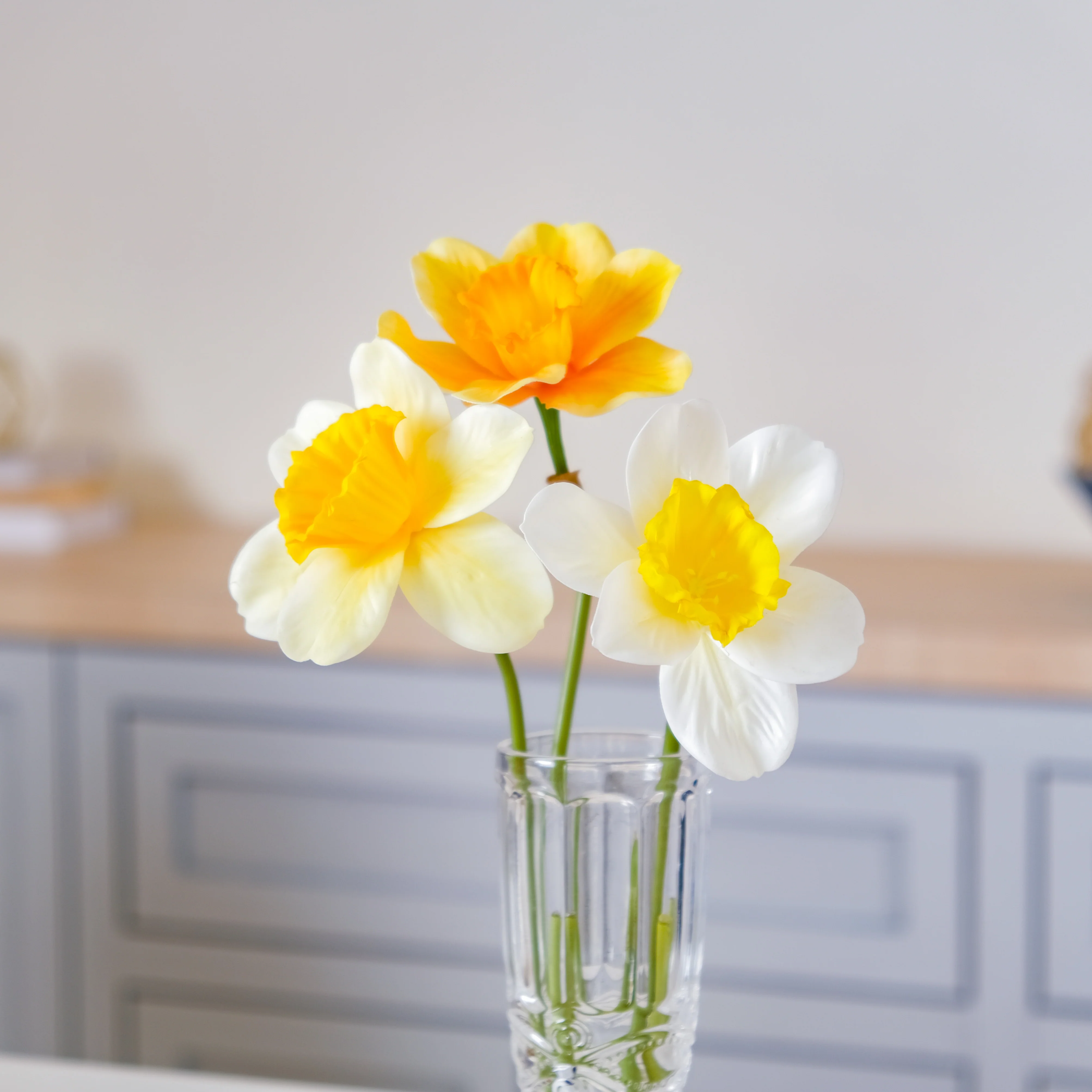 Daffodil Flower - Image 6