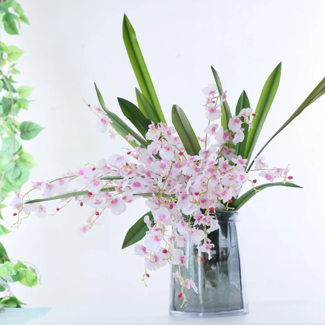 Dancing Orchid - Image 15