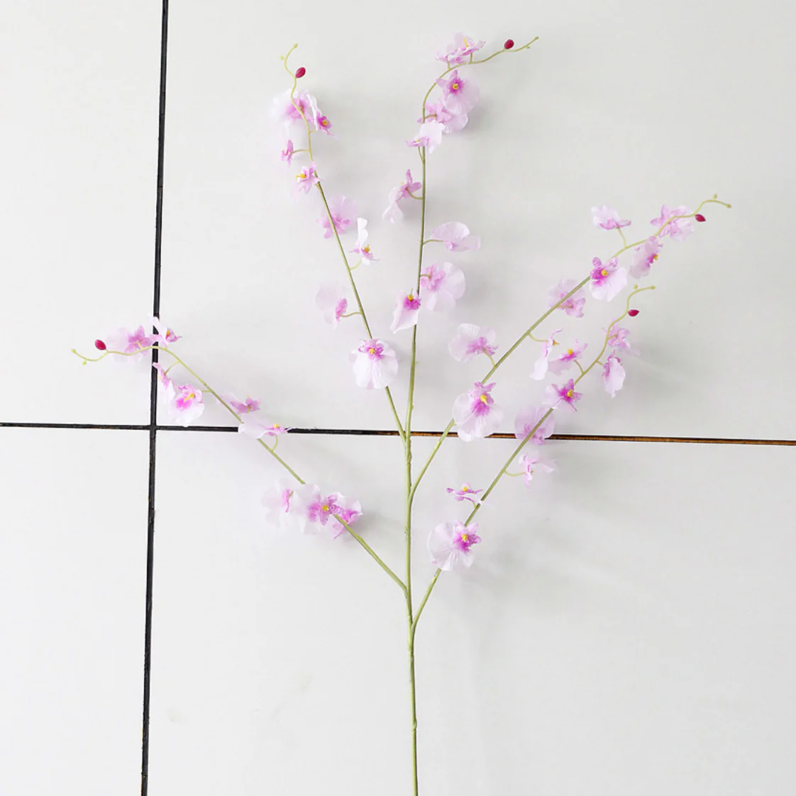 Dancing Orchid - Image 19