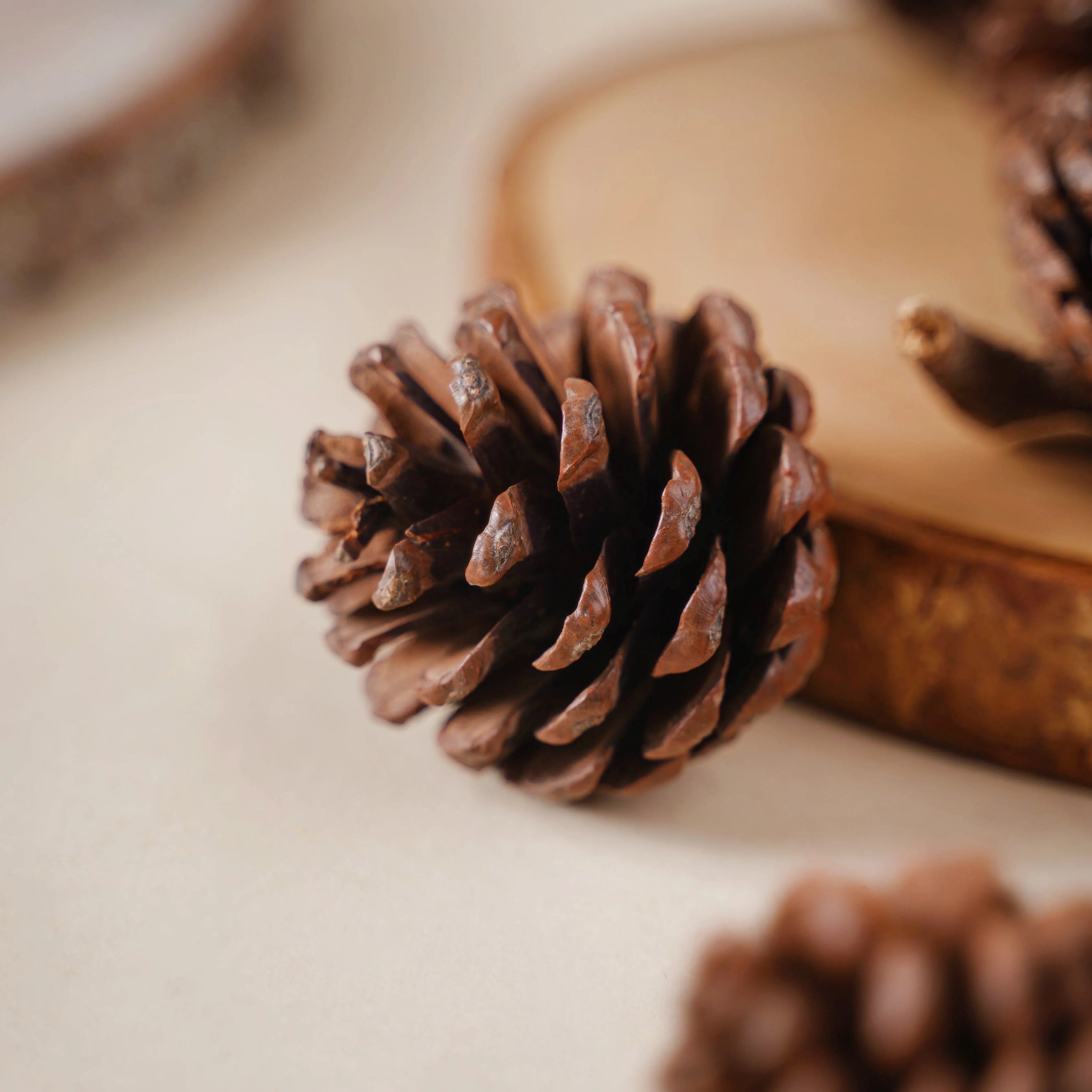 Decorative Cones - Image 3