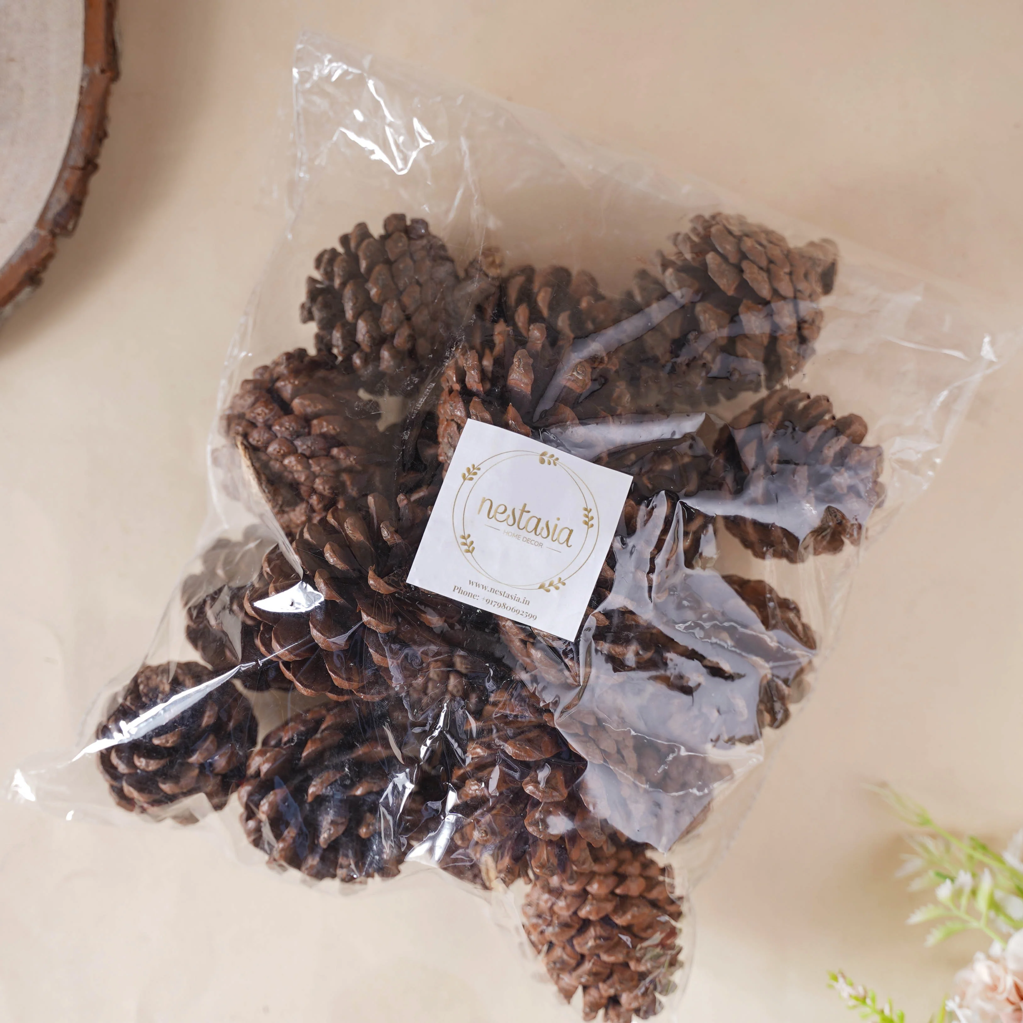 Decorative Cones - Image 4