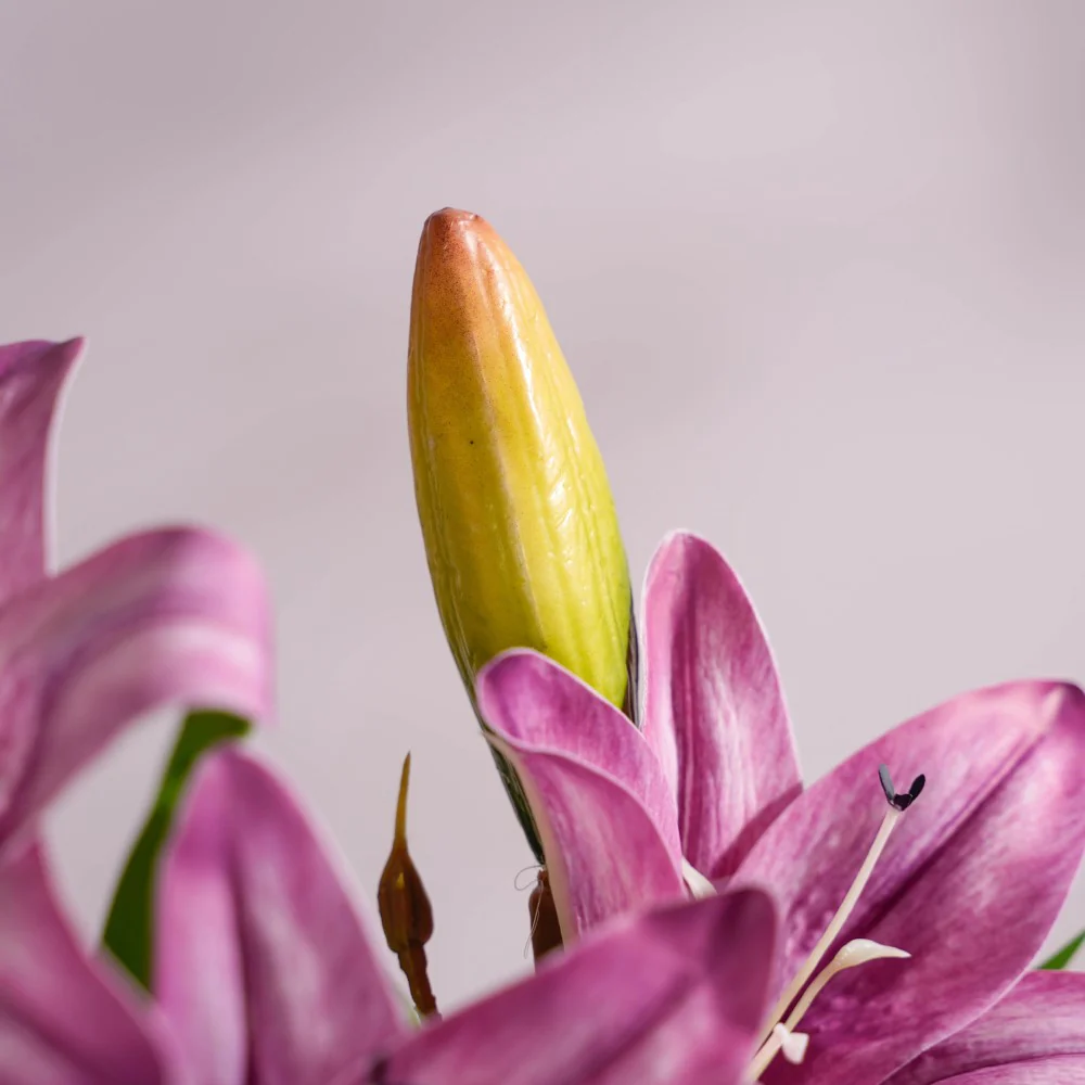 Decorative Lily Branch Purple Set Of 2 - Image 7