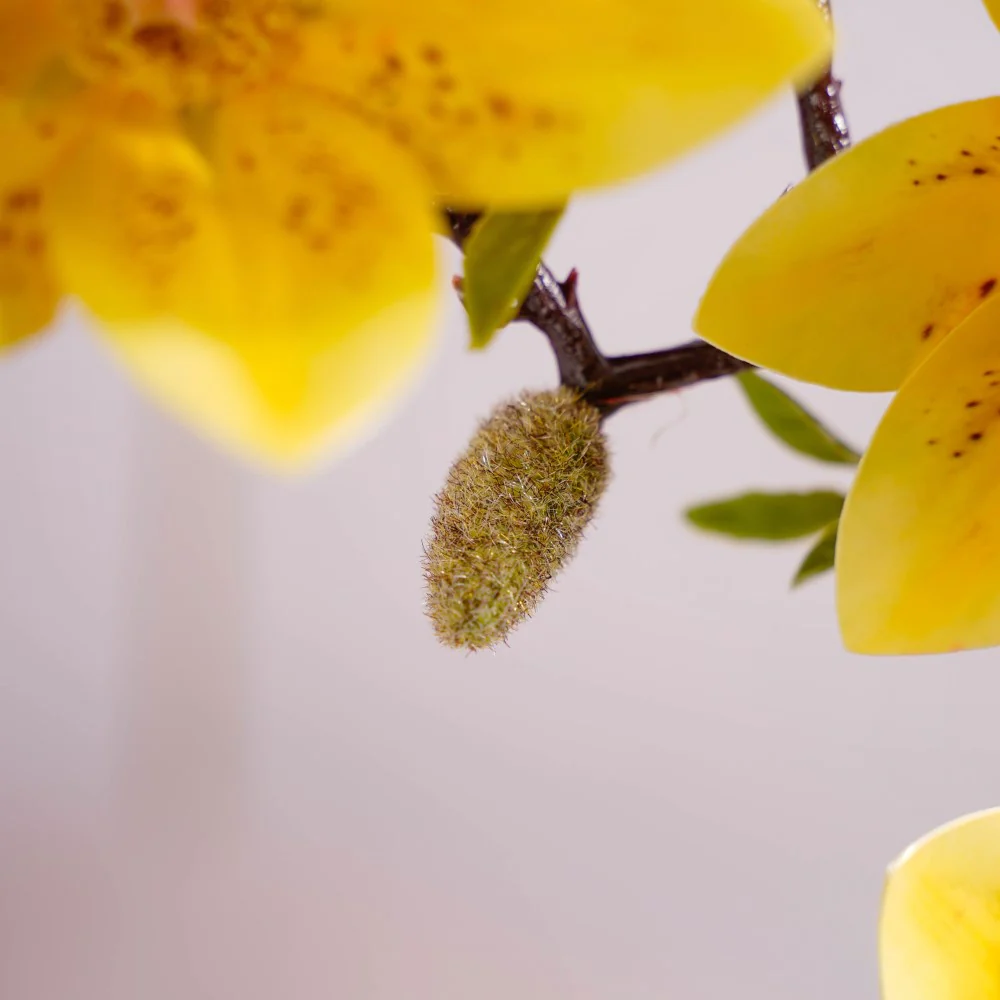 Decorative Lily Flower Stem Yellow - Image 8