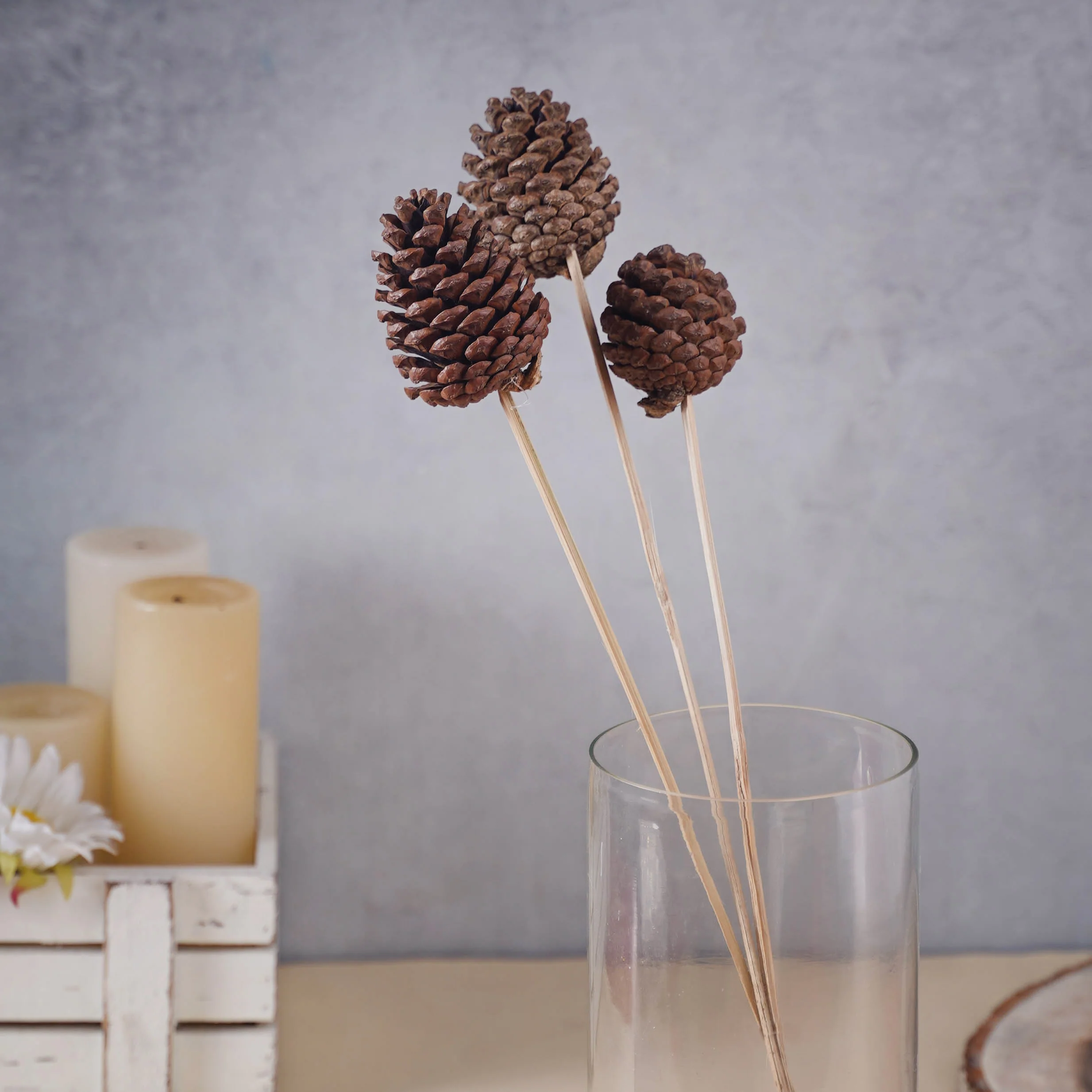 Decorative Pine Cones