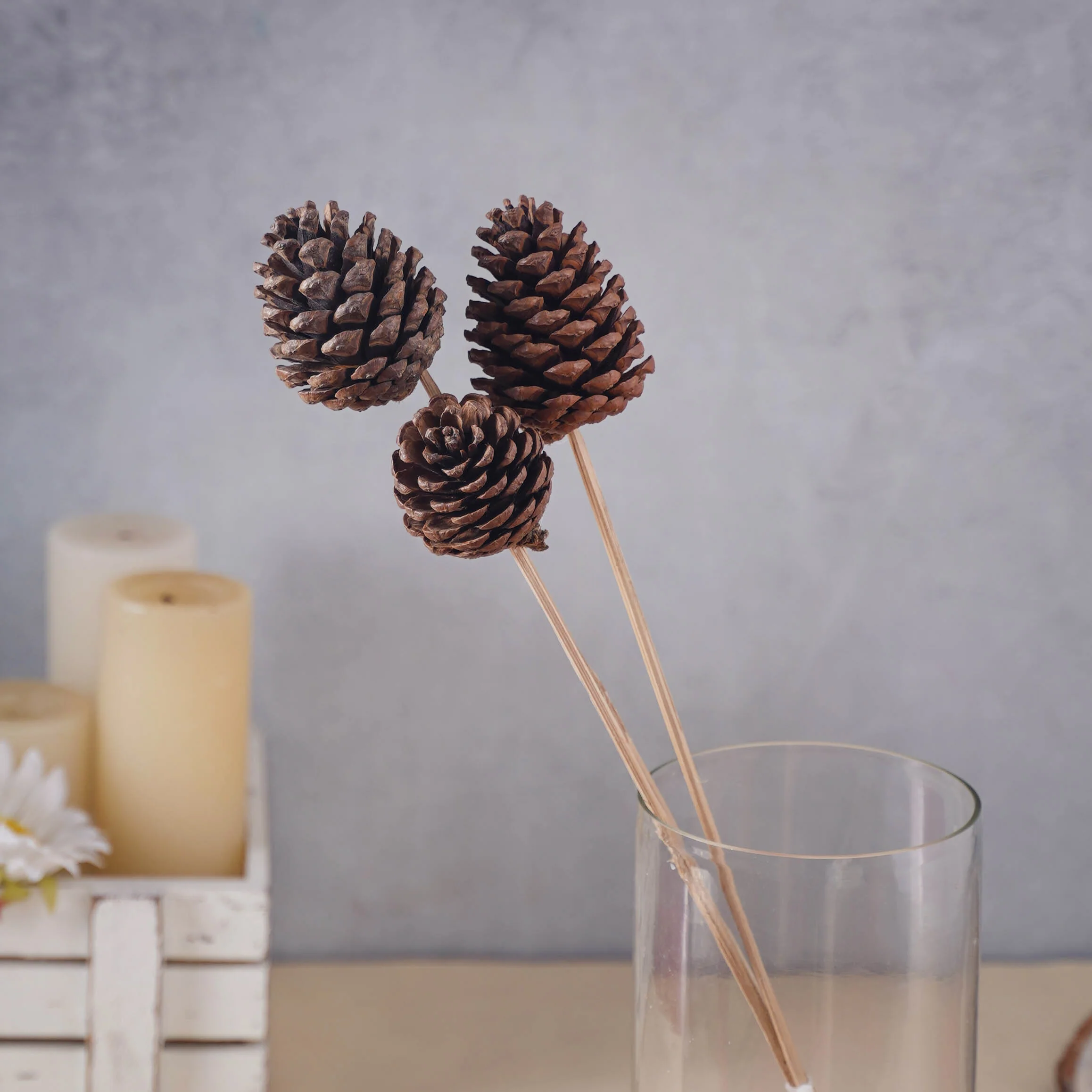 Decorative Pine Cones - Image 7
