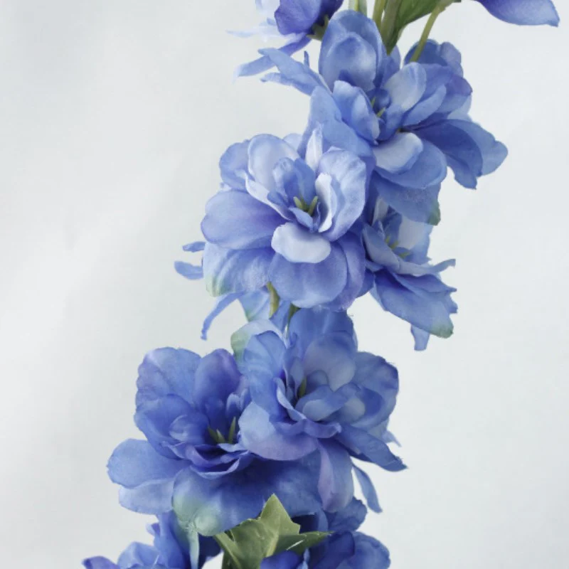 Delphinium Flower - Image 12