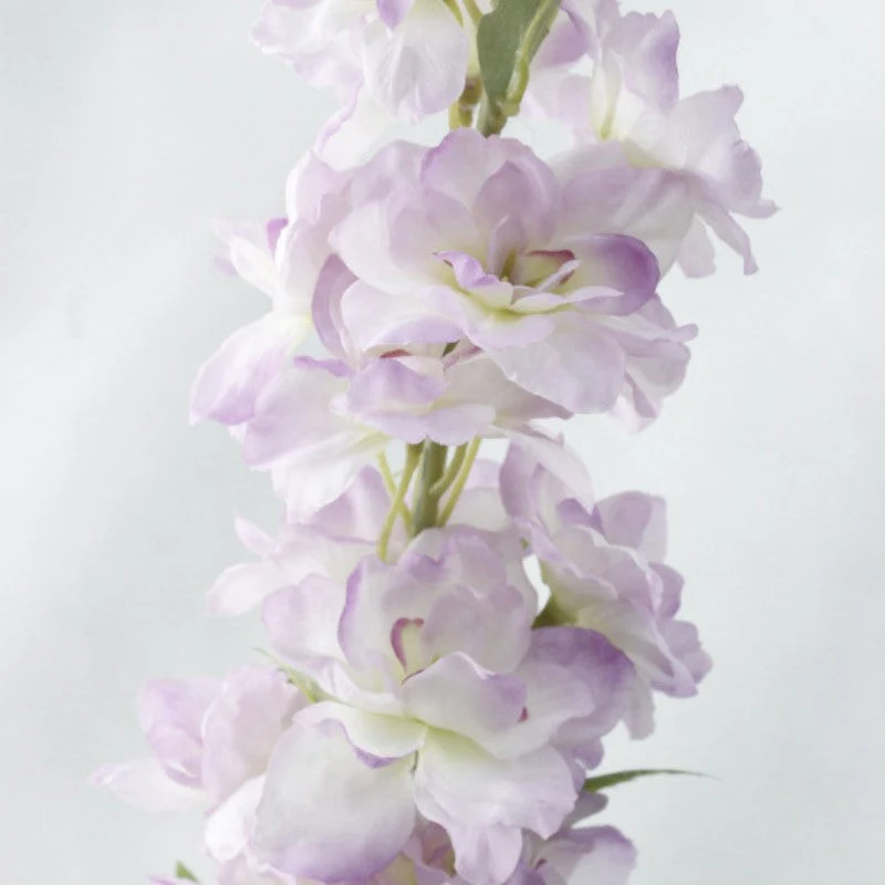 Delphinium Flower - Image 21