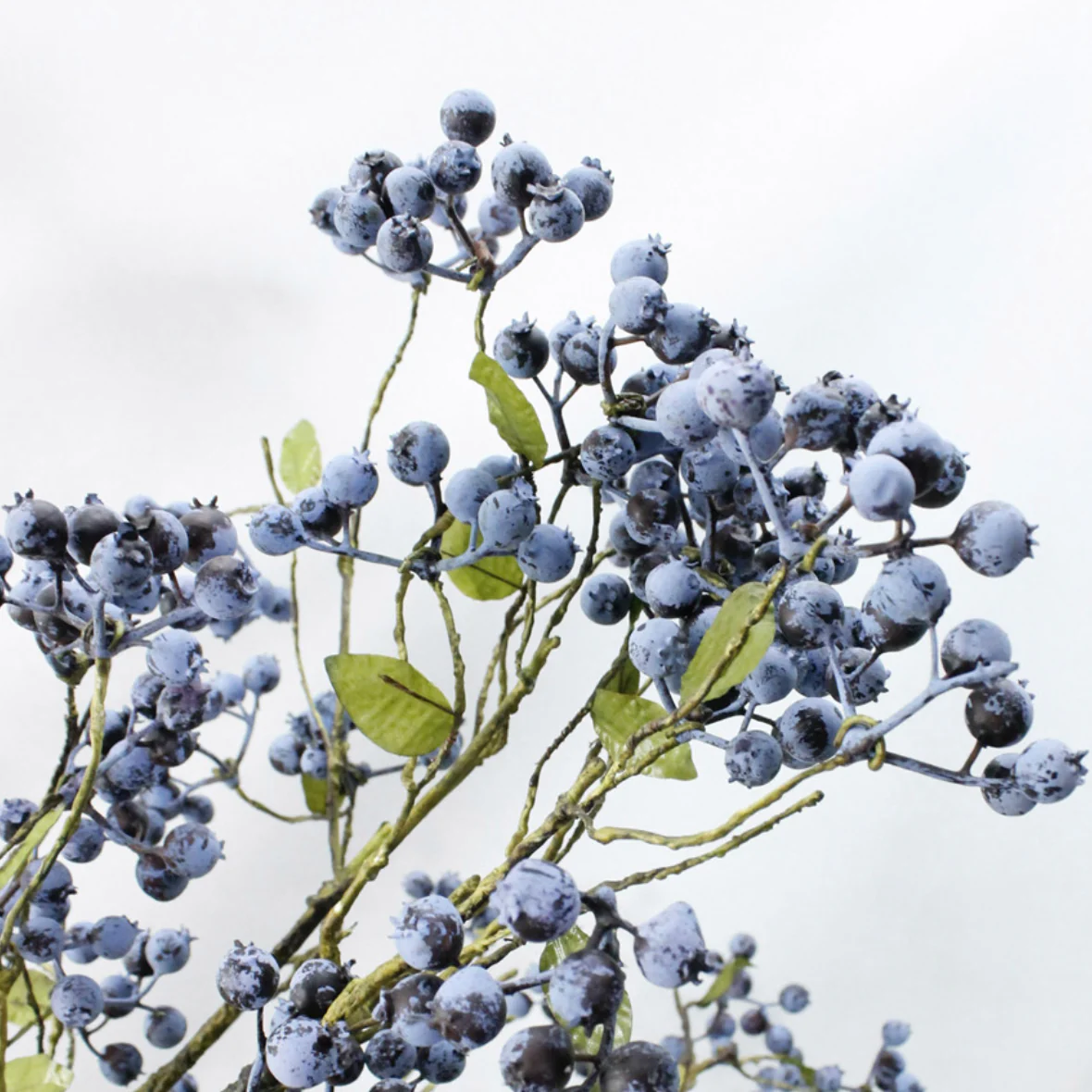 Dry Flower Blue - Image 7