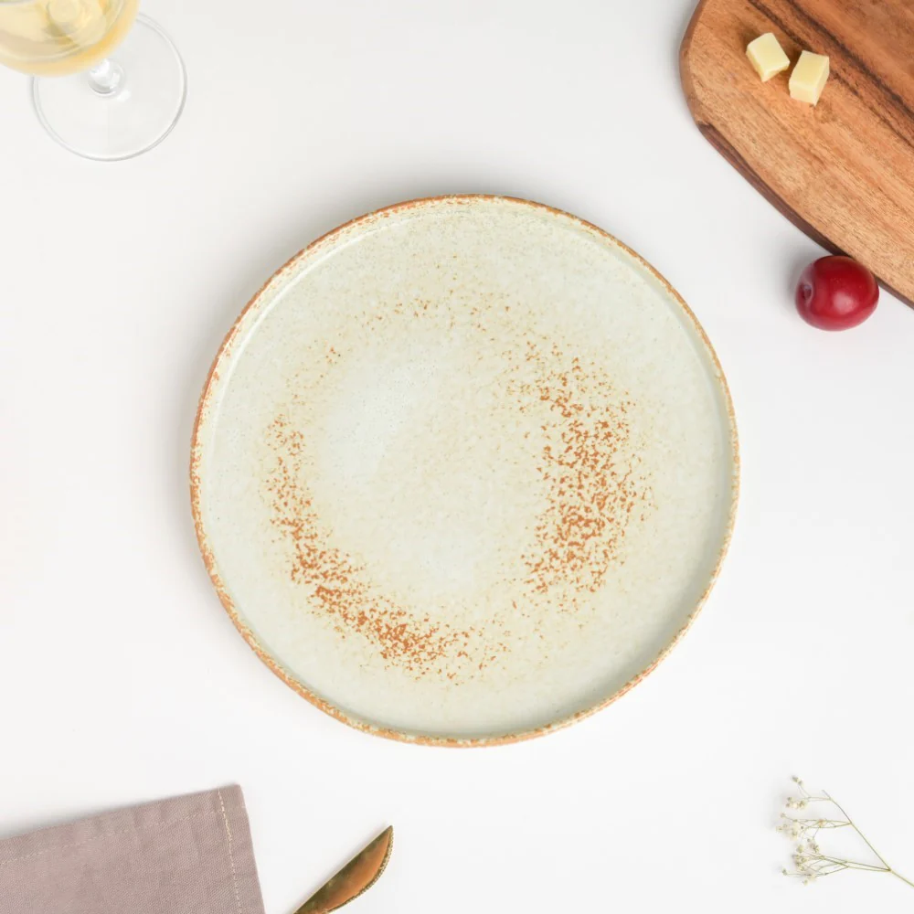 Earthy Stoneware Round Dinner Plate 10 Inch - Image 4