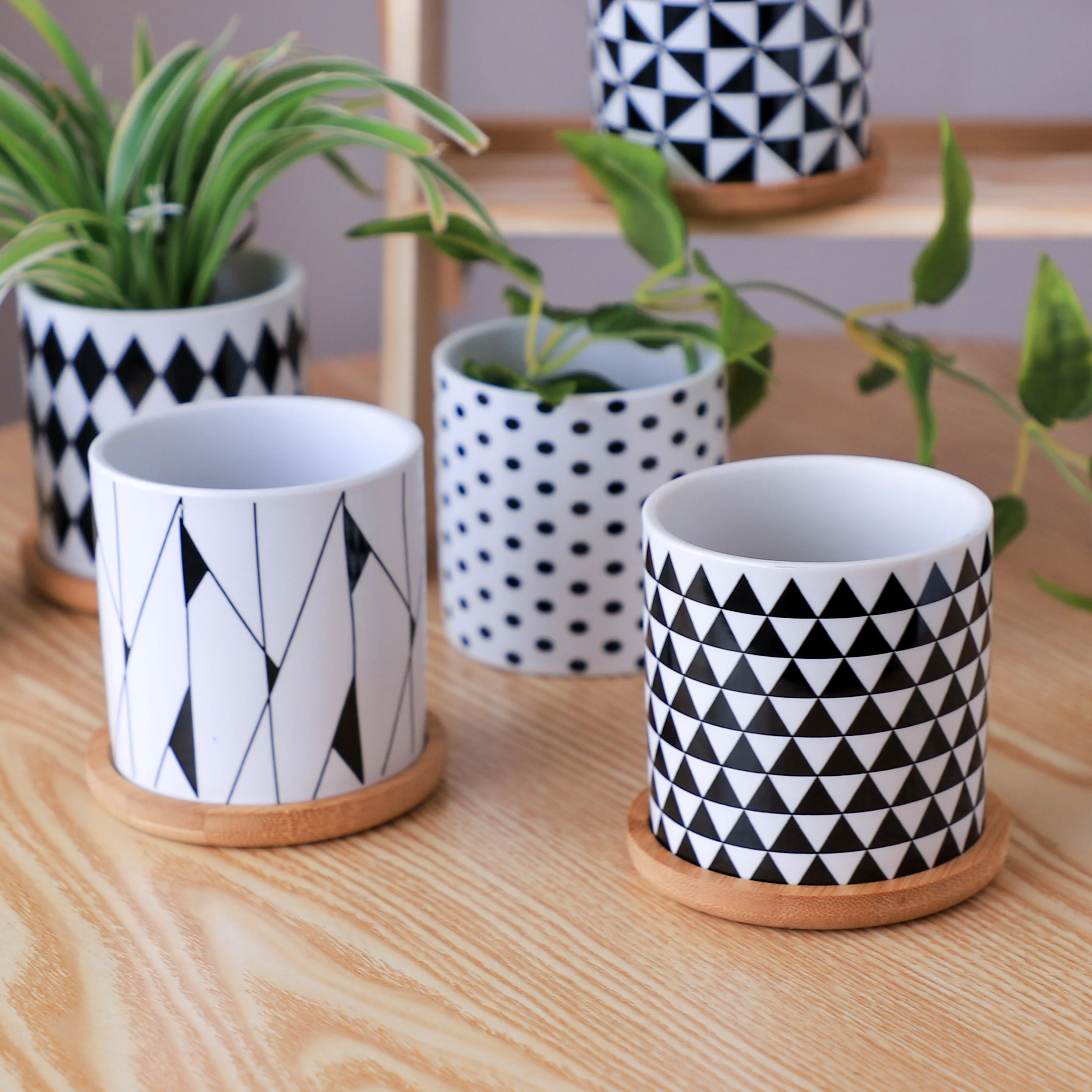 Ebony & Ivory Ceramic Planter With Coaster Set Of 8 - Image 15