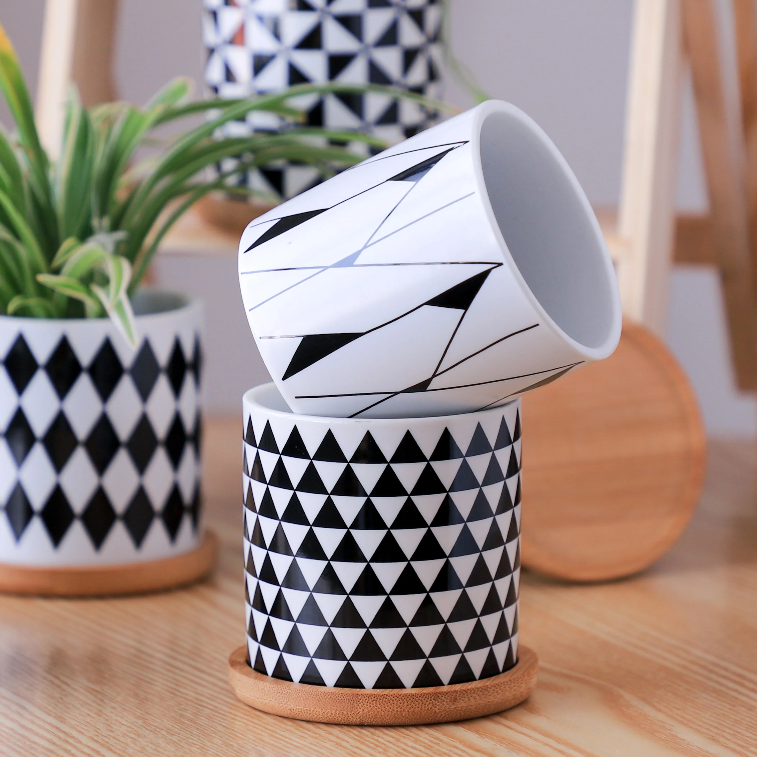 Ebony & Ivory Ceramic Planter With Coaster Set Of 8 - Image 16