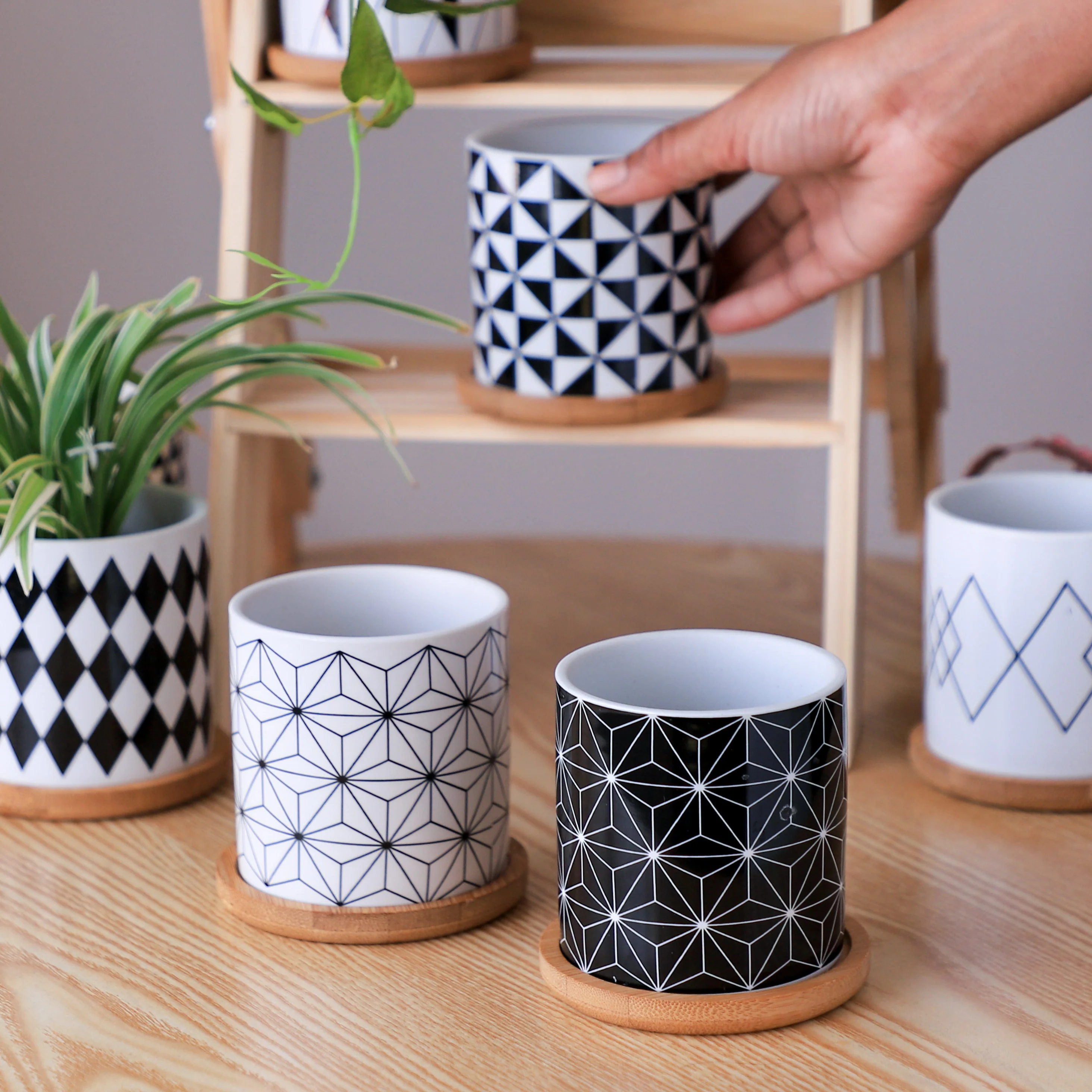 Ebony & Ivory Ceramic Planter With Coaster Set Of 8 - Image 20