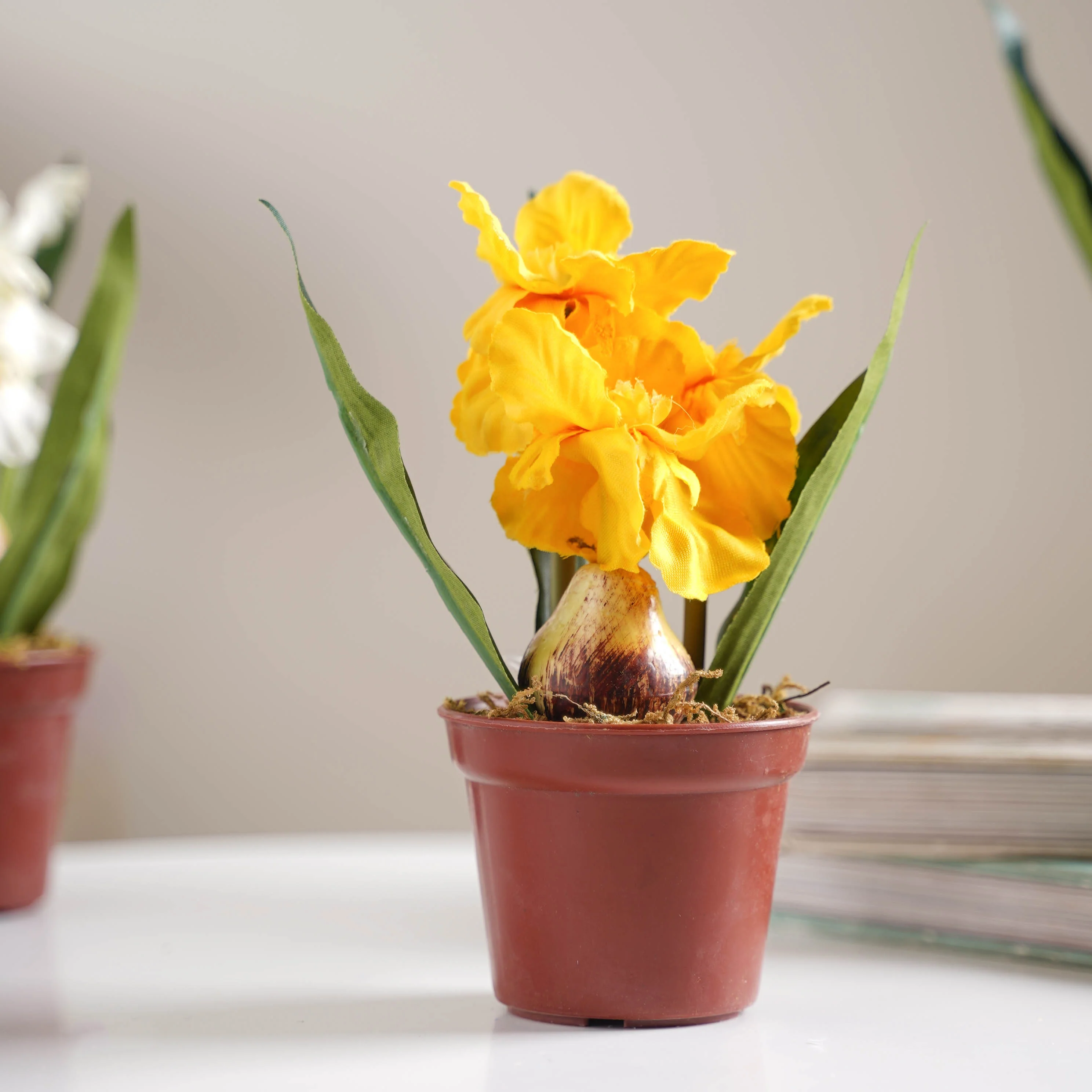 Faux Iris Plant - Image 8